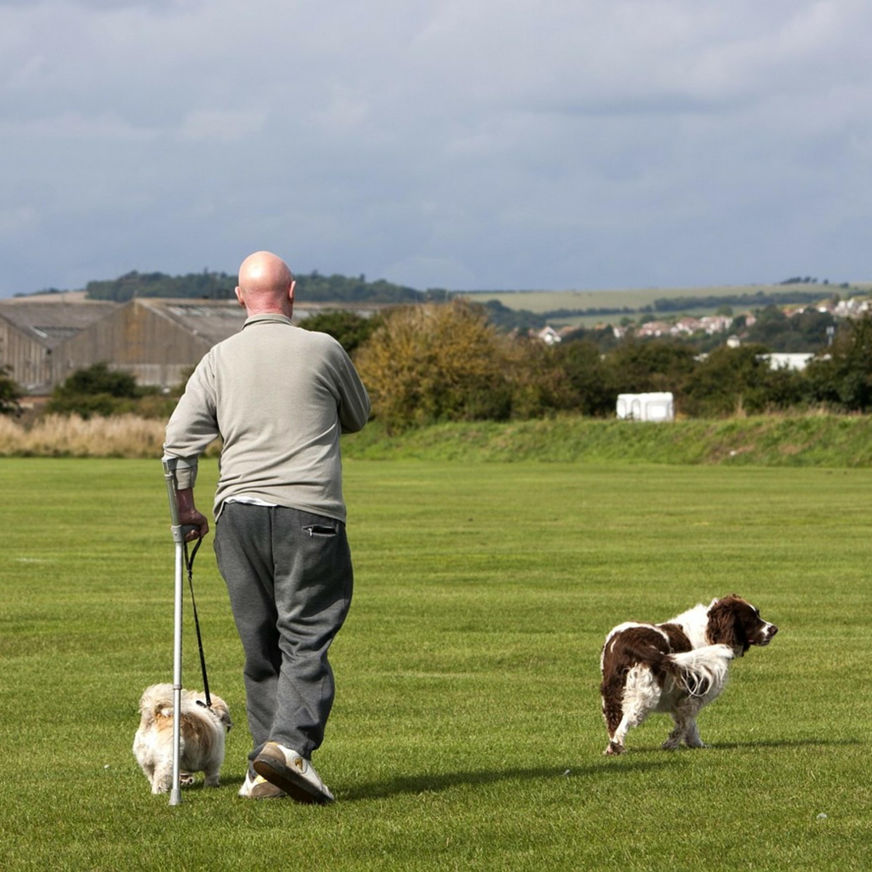 NOW WHAT? Surviving Retirement. NOW WHAT? Surviving Retirement.