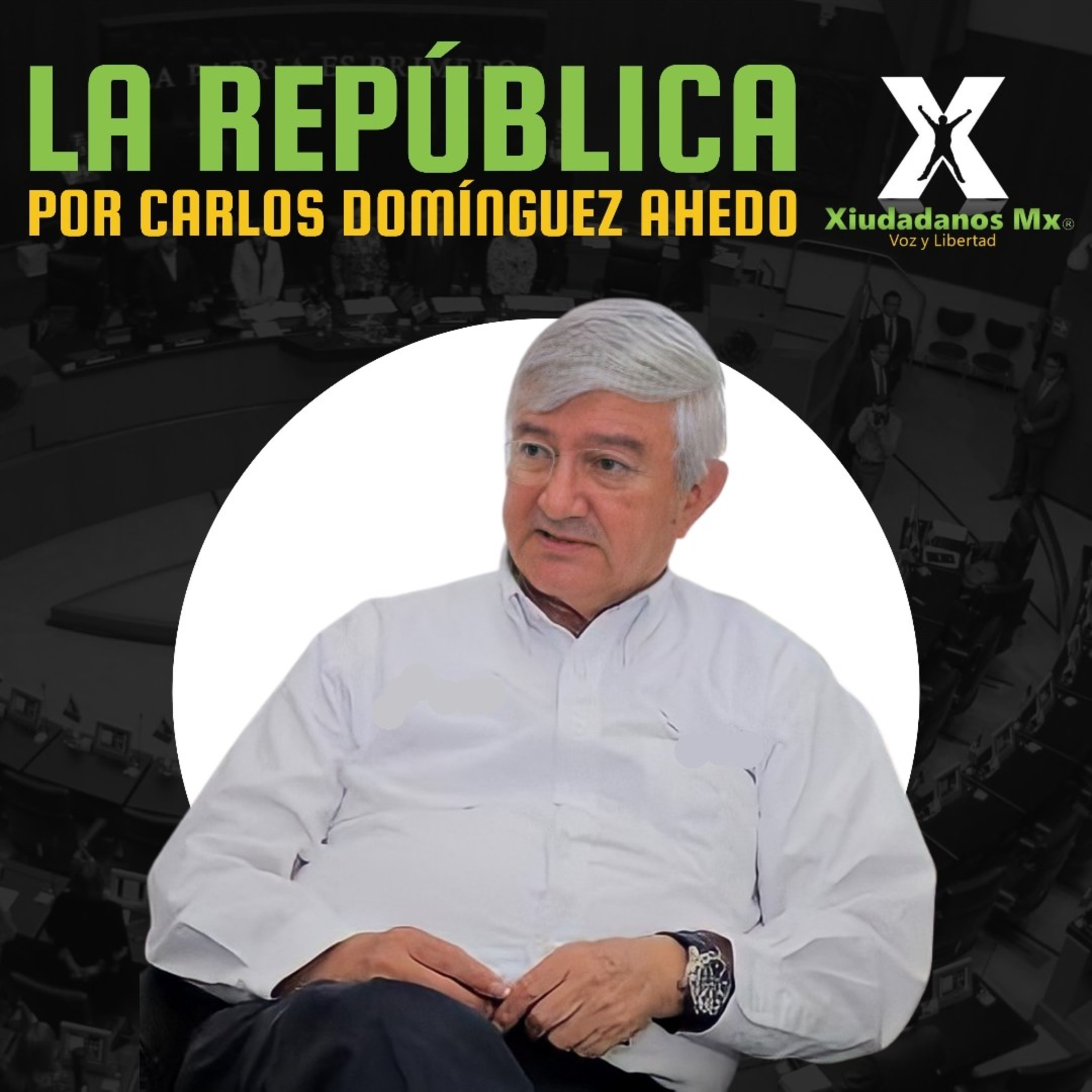 Xiudadanos MX