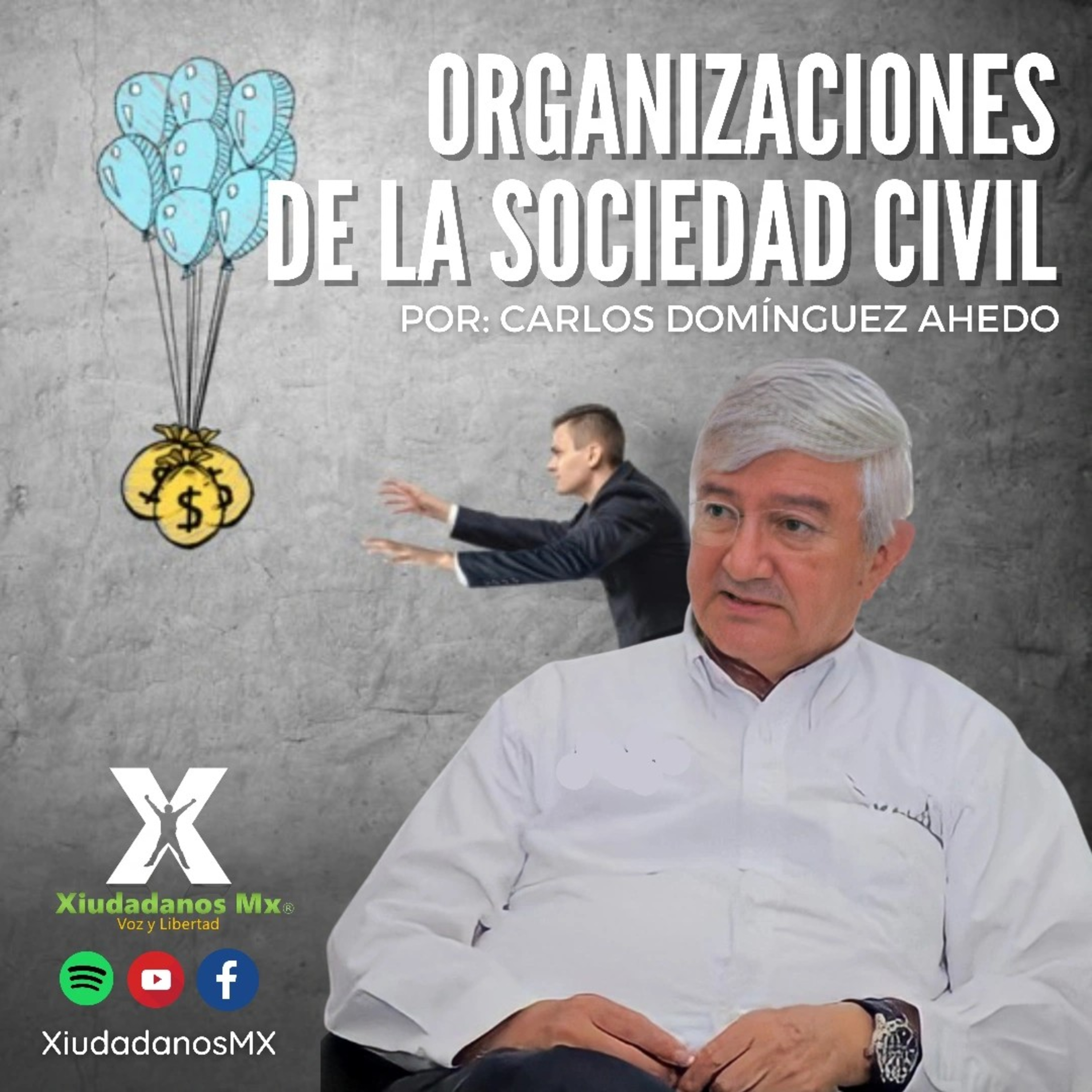 Xiudadanos MX