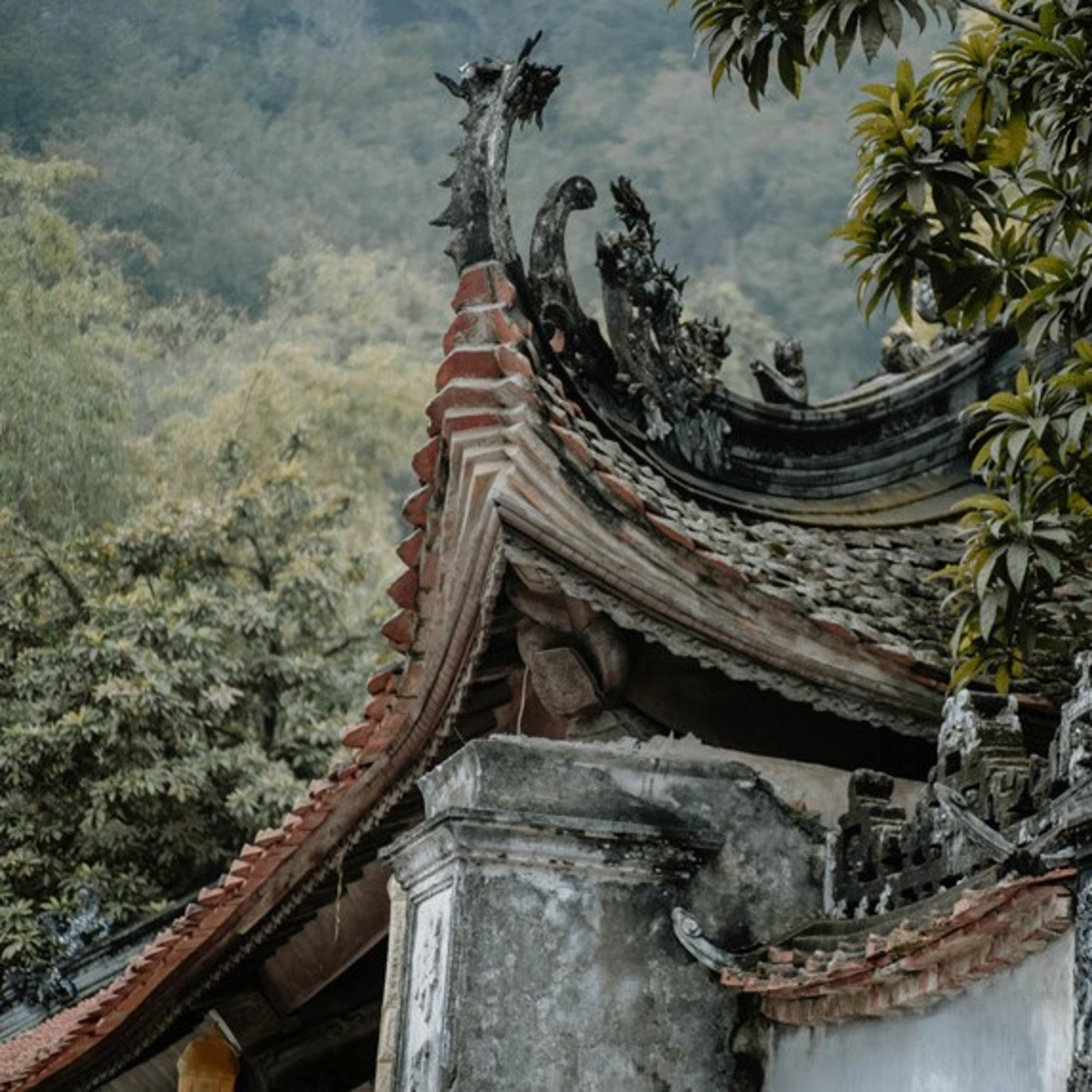 Đọc Truyện Đêm Muộn