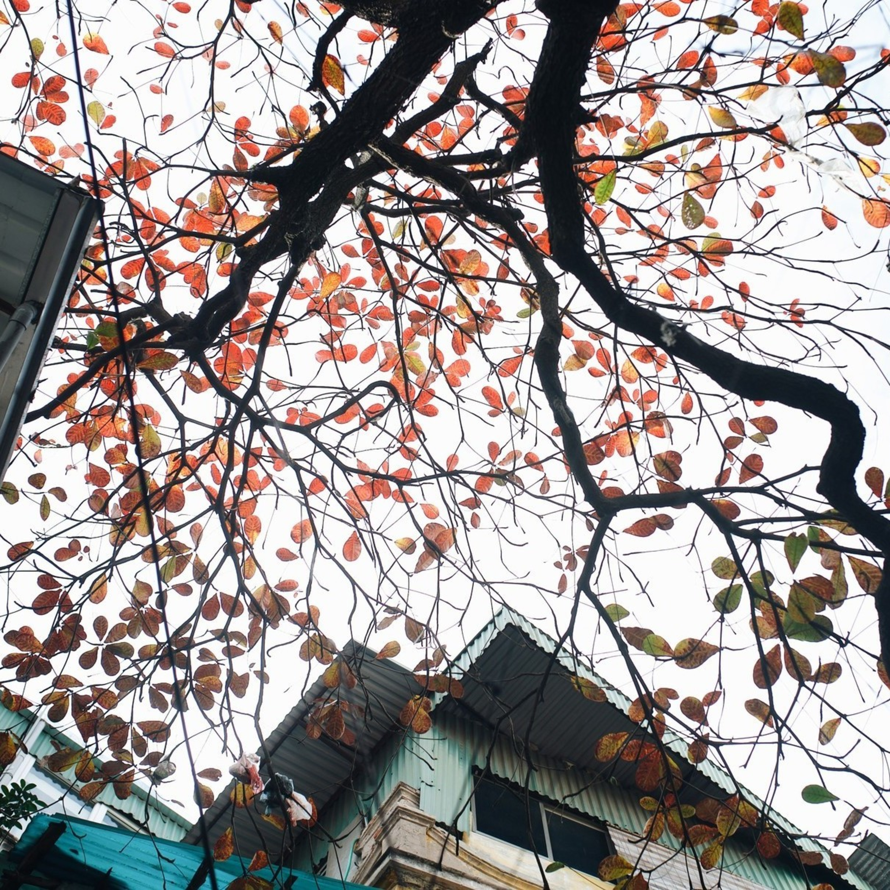 Đọc Truyện Đêm Muộn