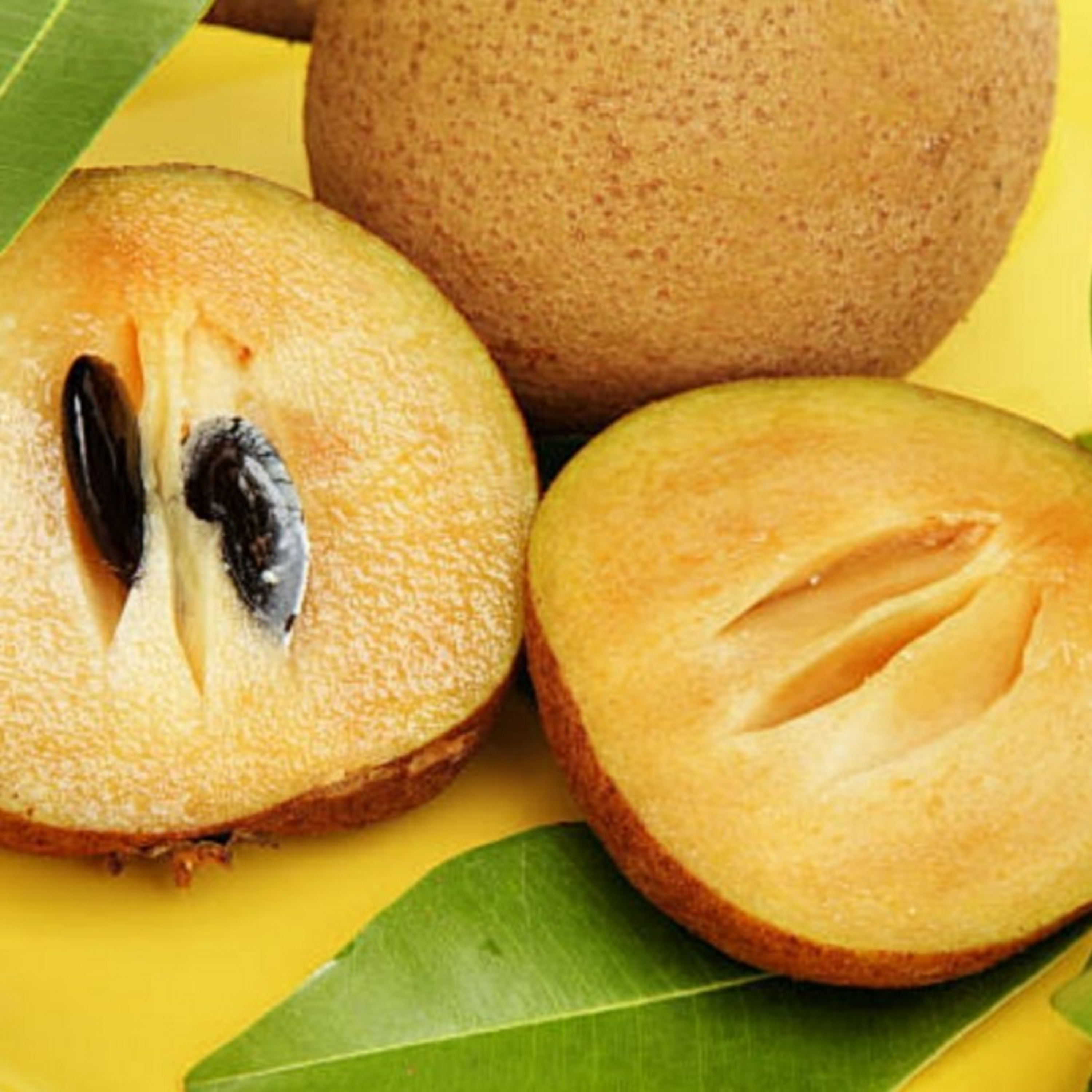 Frutas Brasileiras - Jaca episode artwork