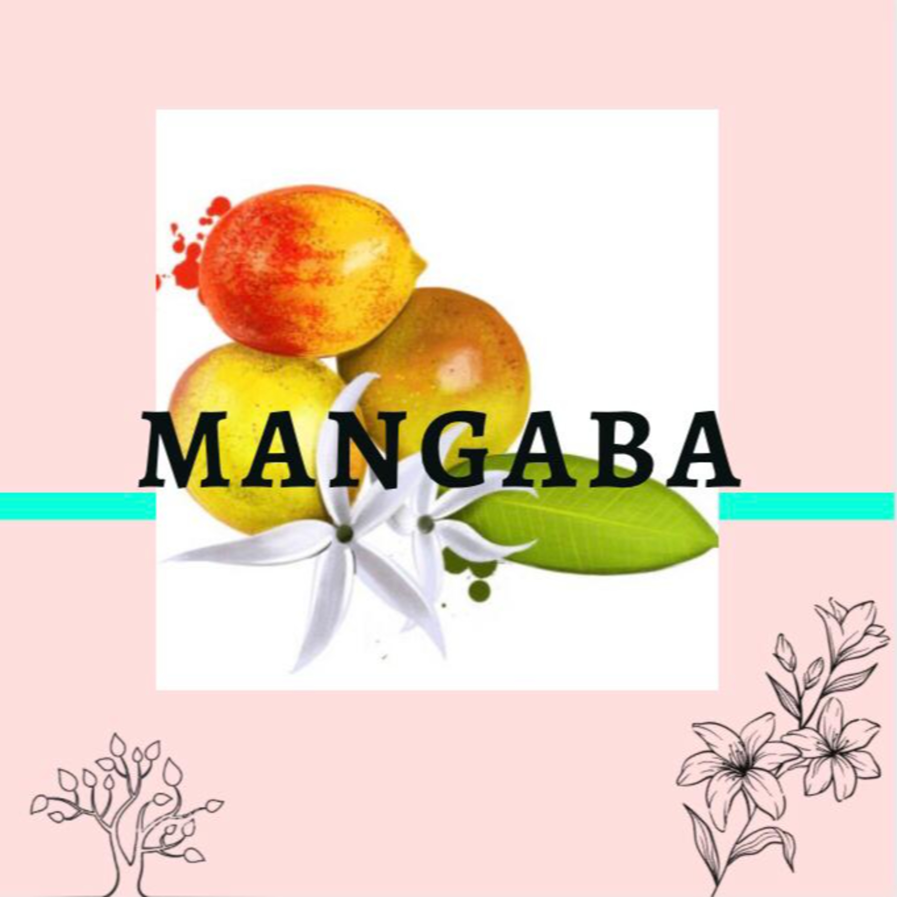 Frutas Brasileiras- Mangaba  episode artwork