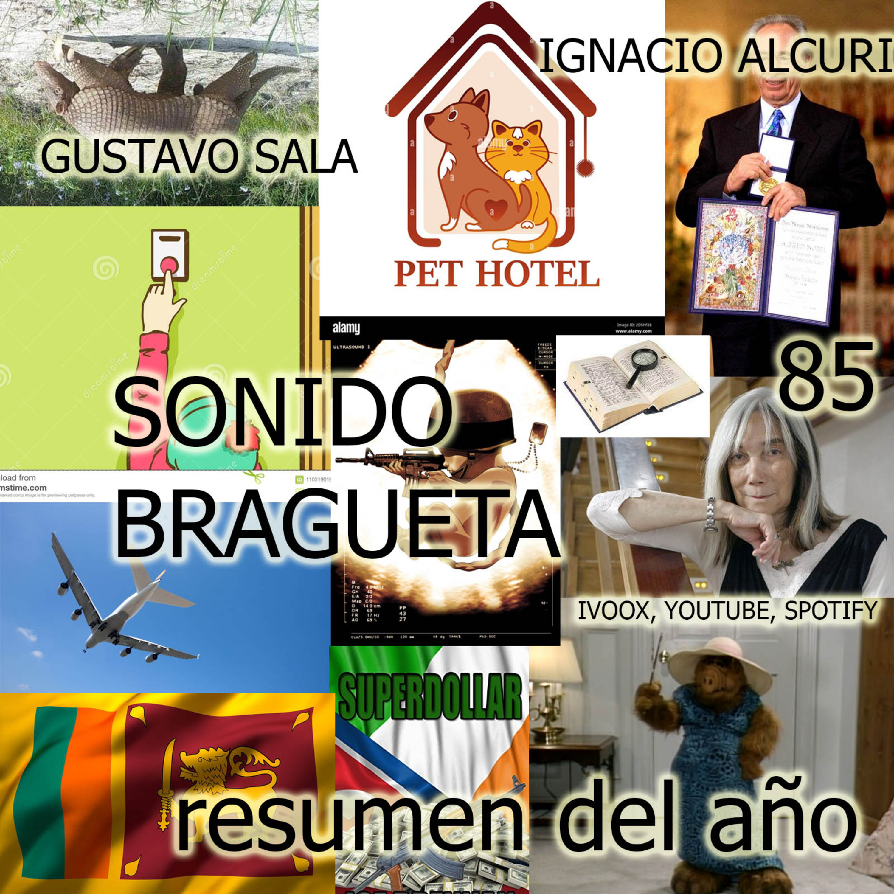 Sonido Bragueta - Servicio de compañía