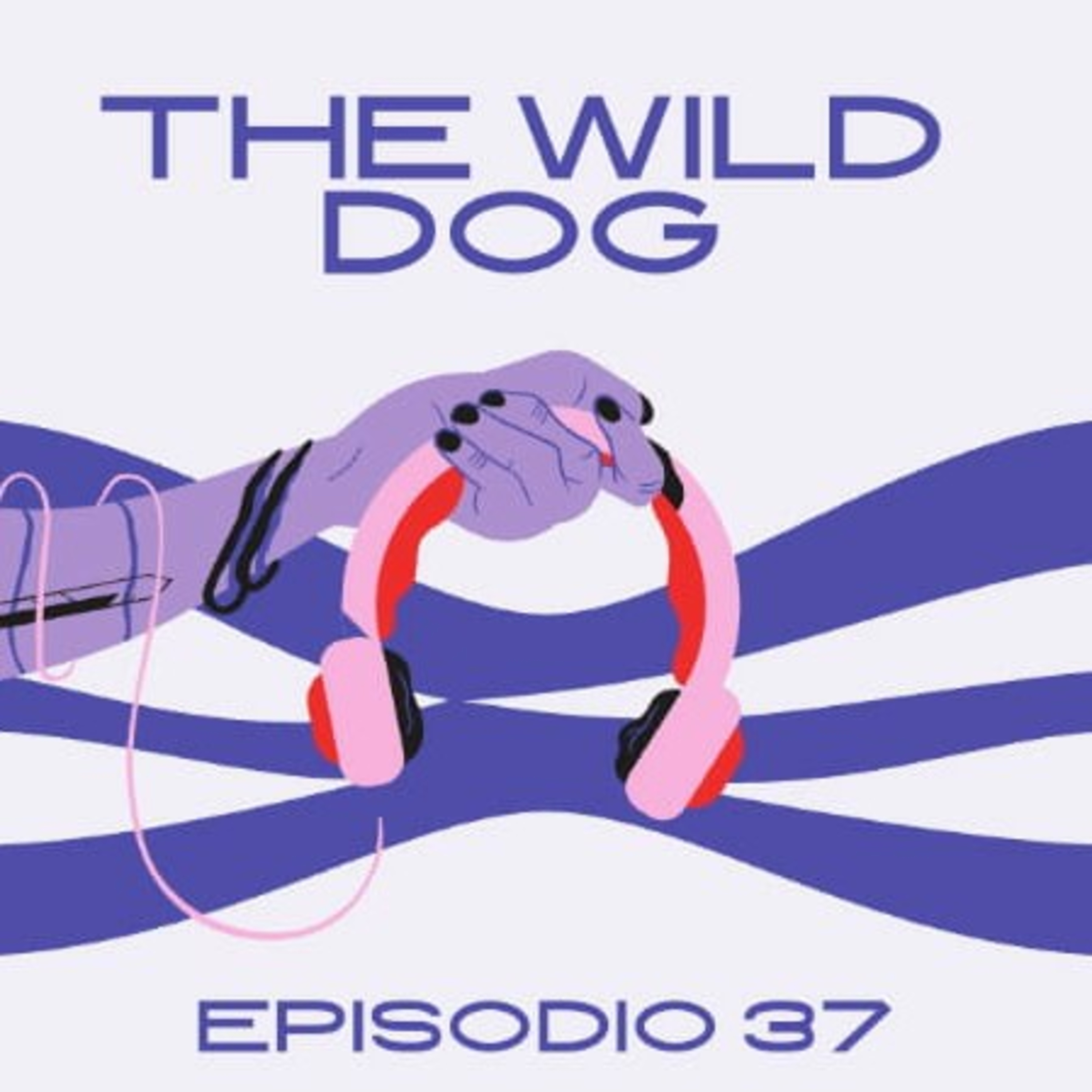 Portada de THE WILD DOG