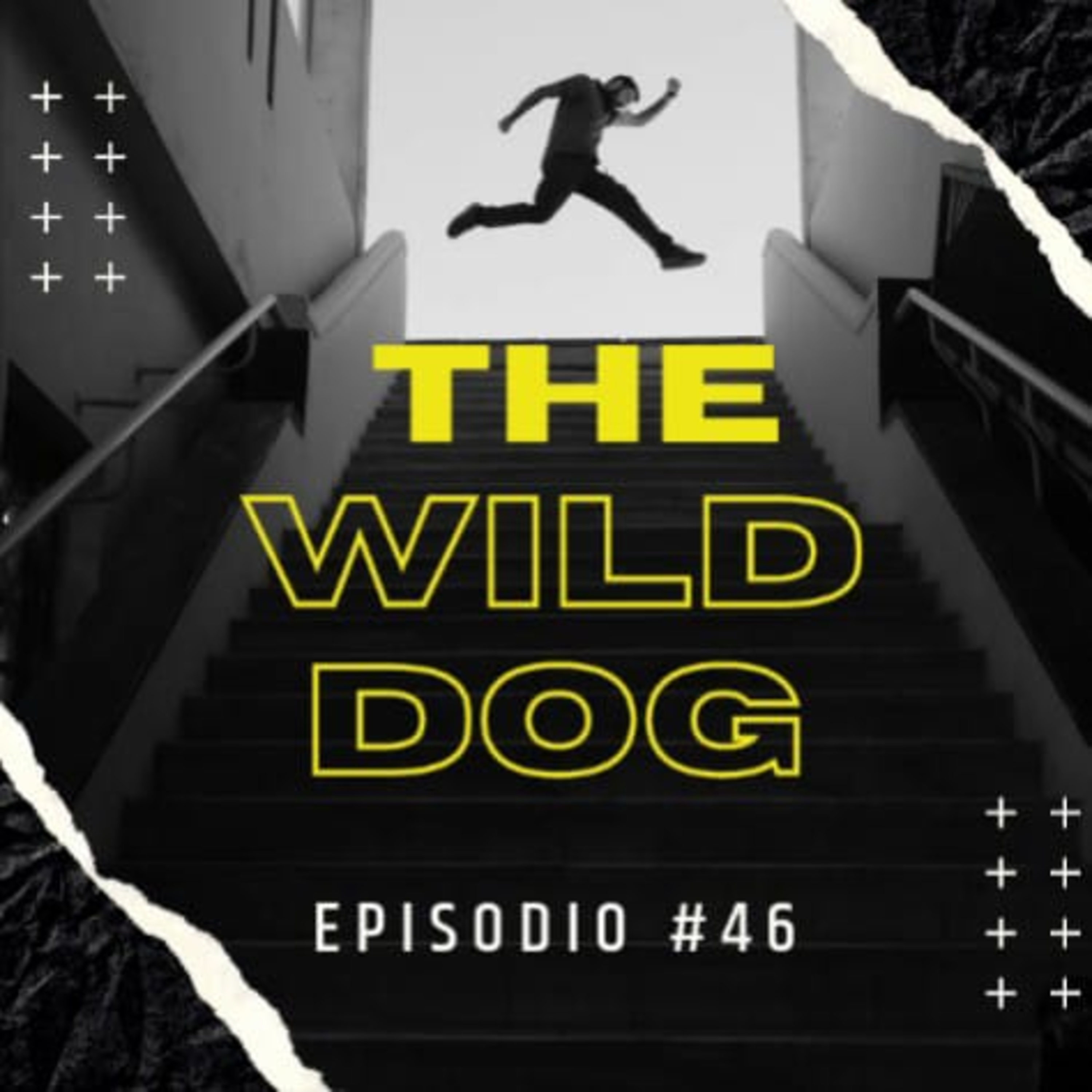Portada de THE WILD DOG