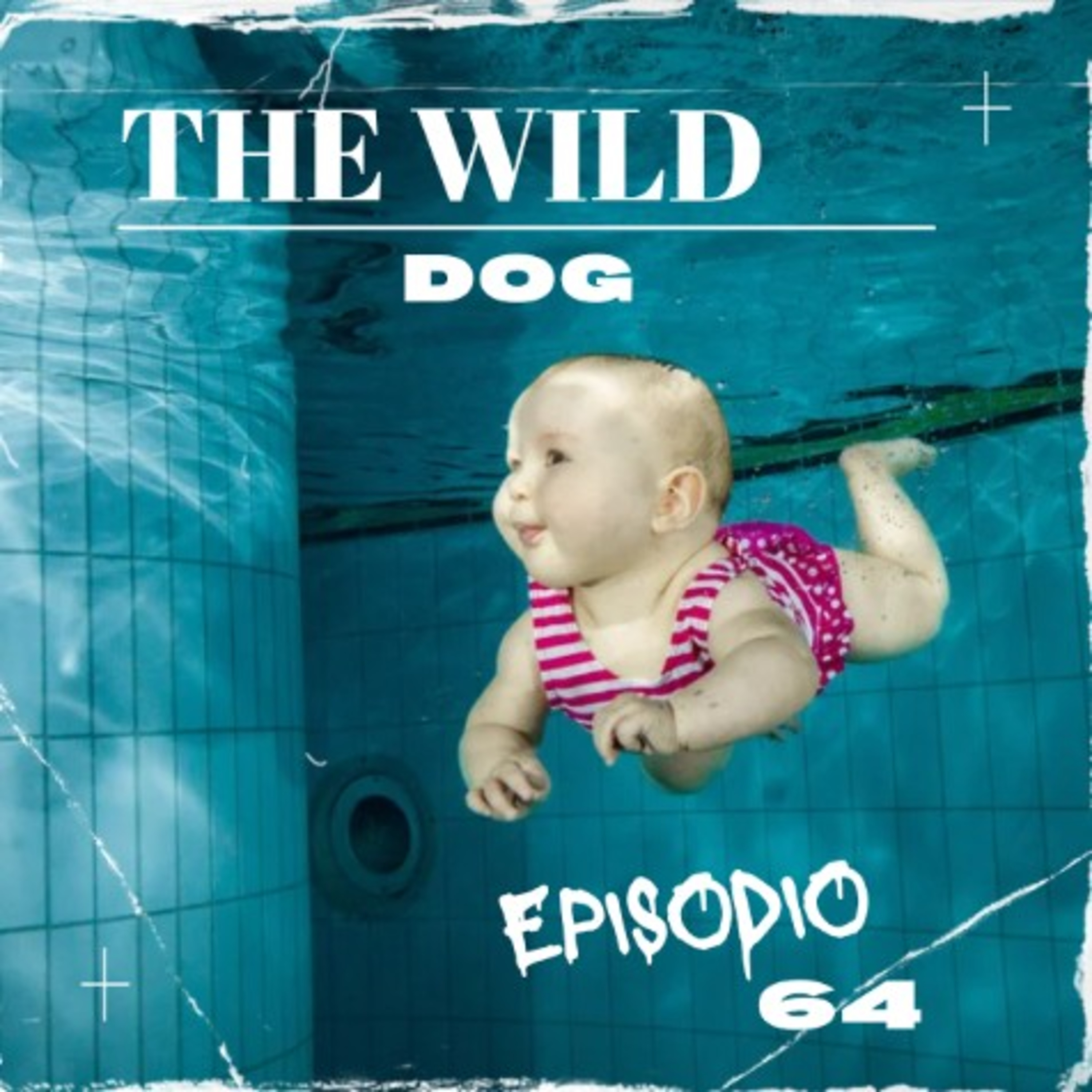 Portada de THE WILD DOG