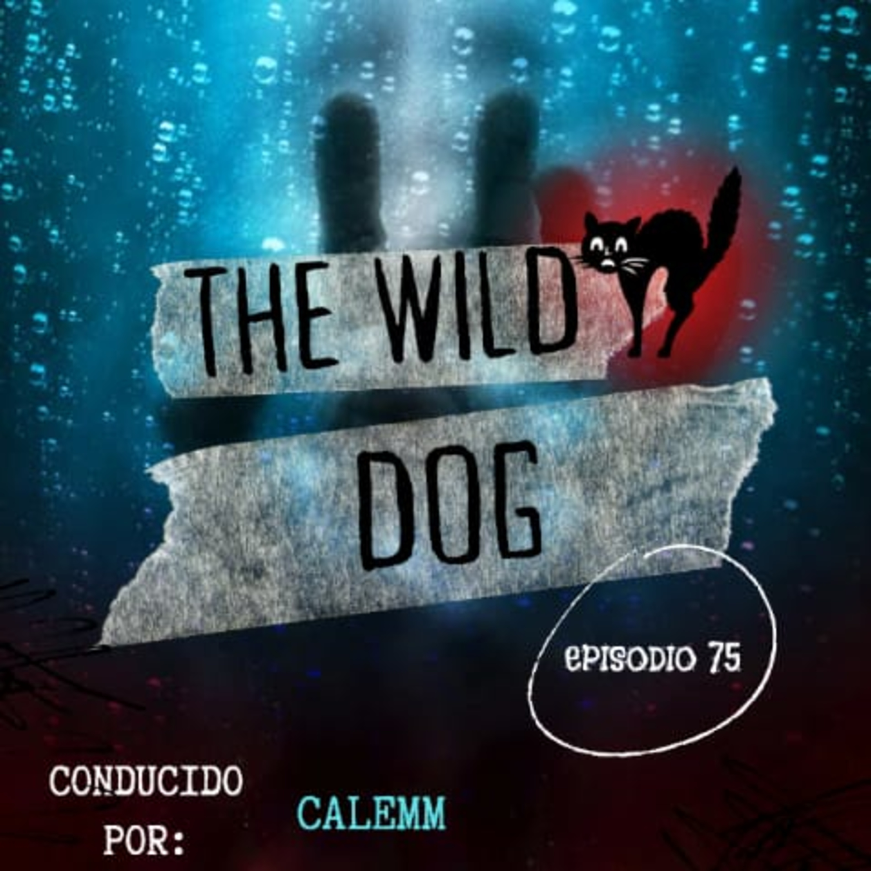 EPISODIO #75 episode artwork