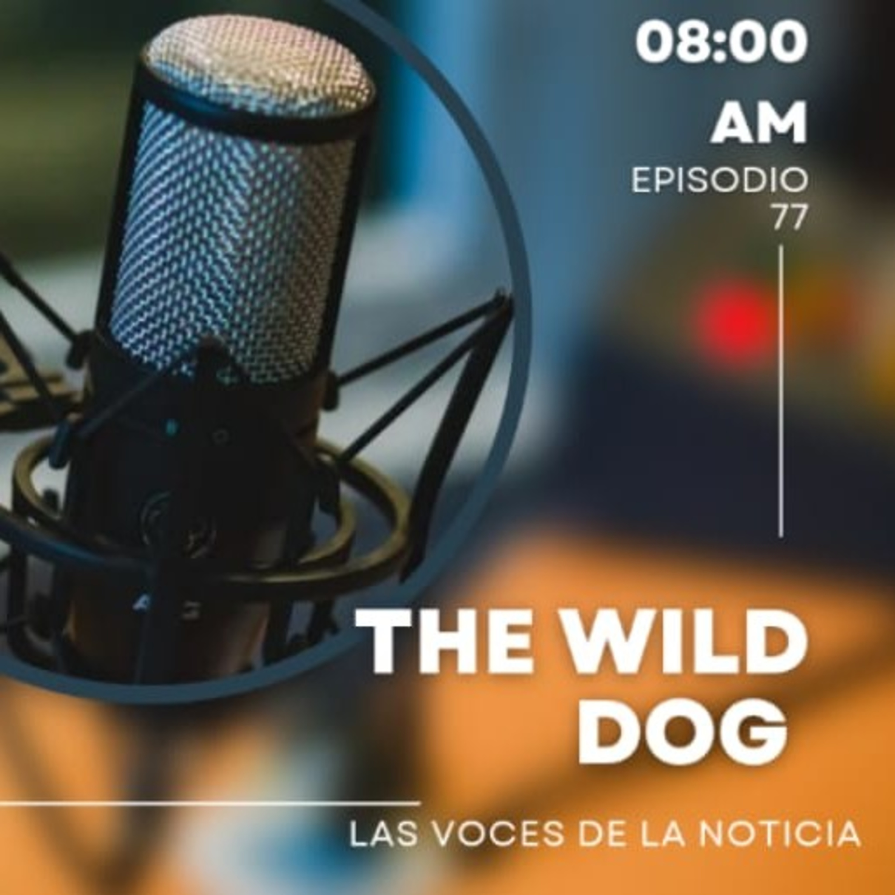 Portada de THE WILD DOG