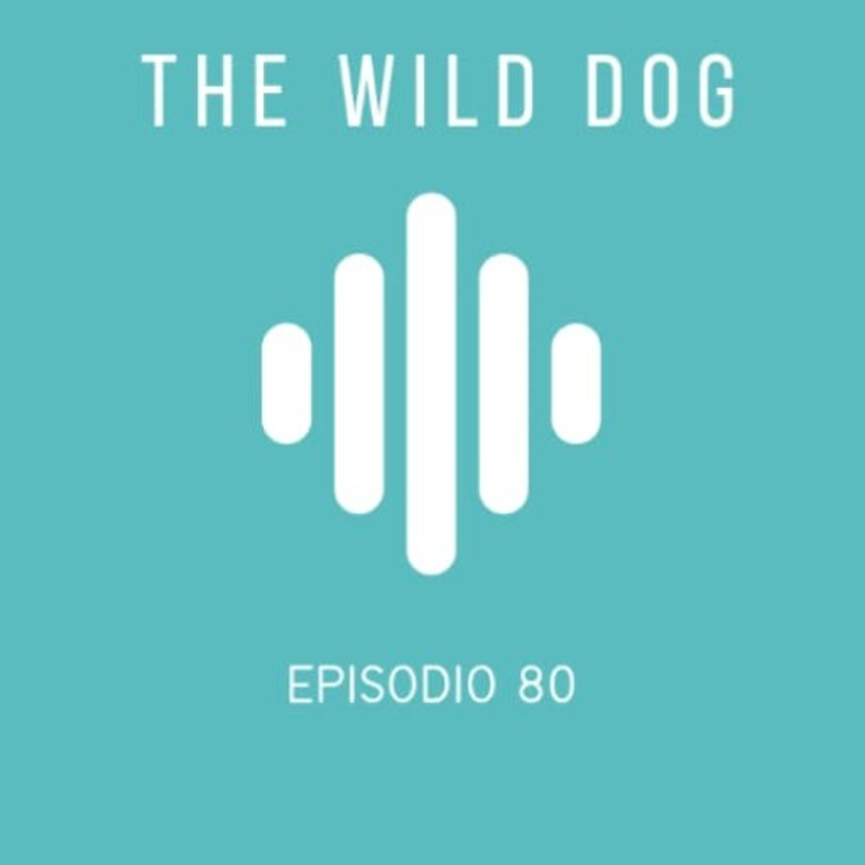EPISODIO #80 episode artwork
