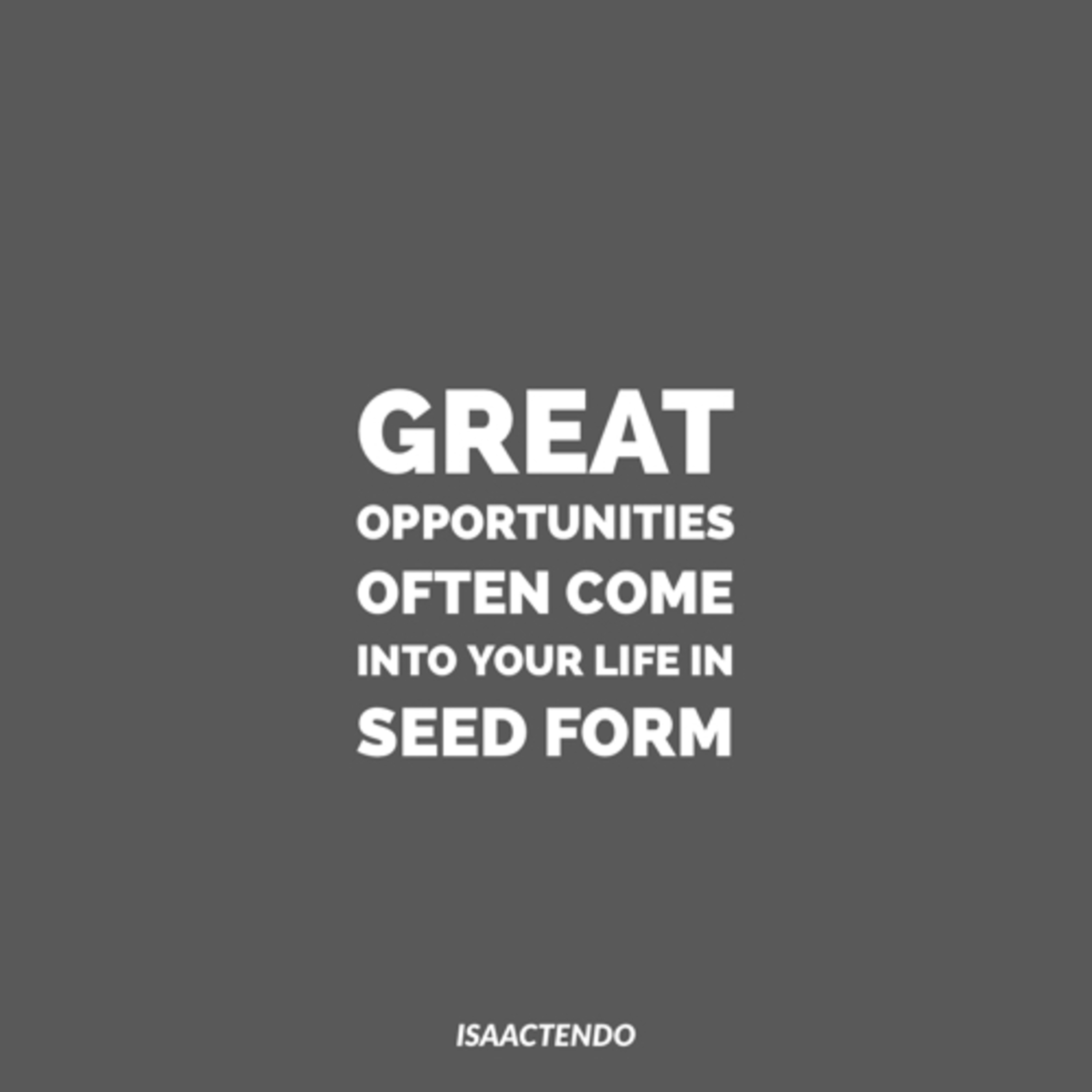 The Seed Of Opportunity