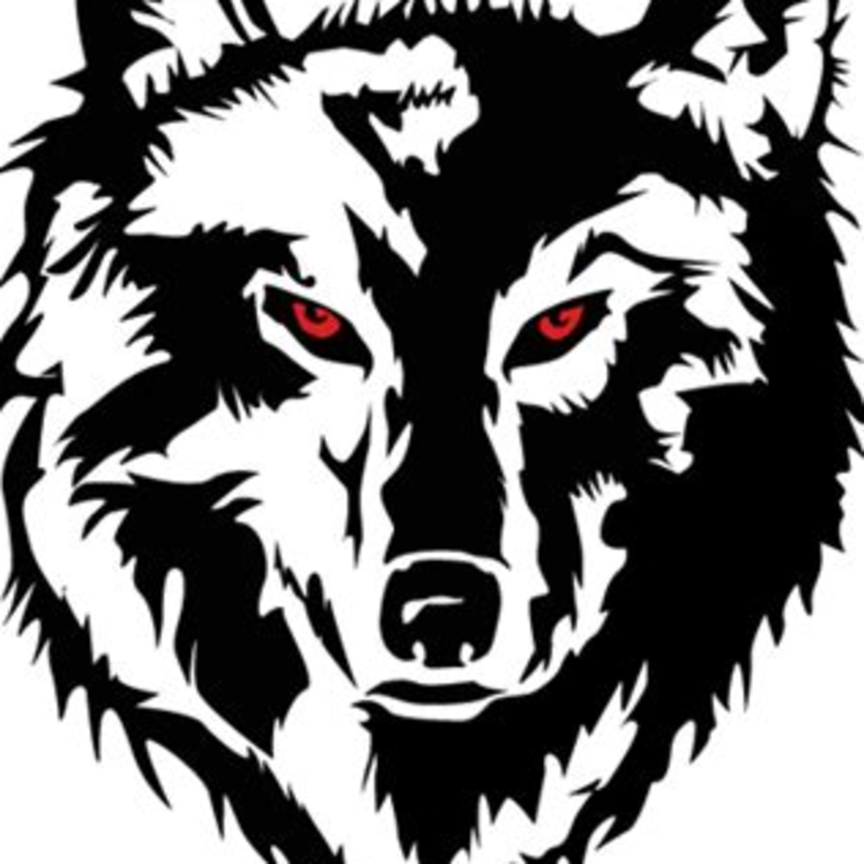 DanTheWolfman