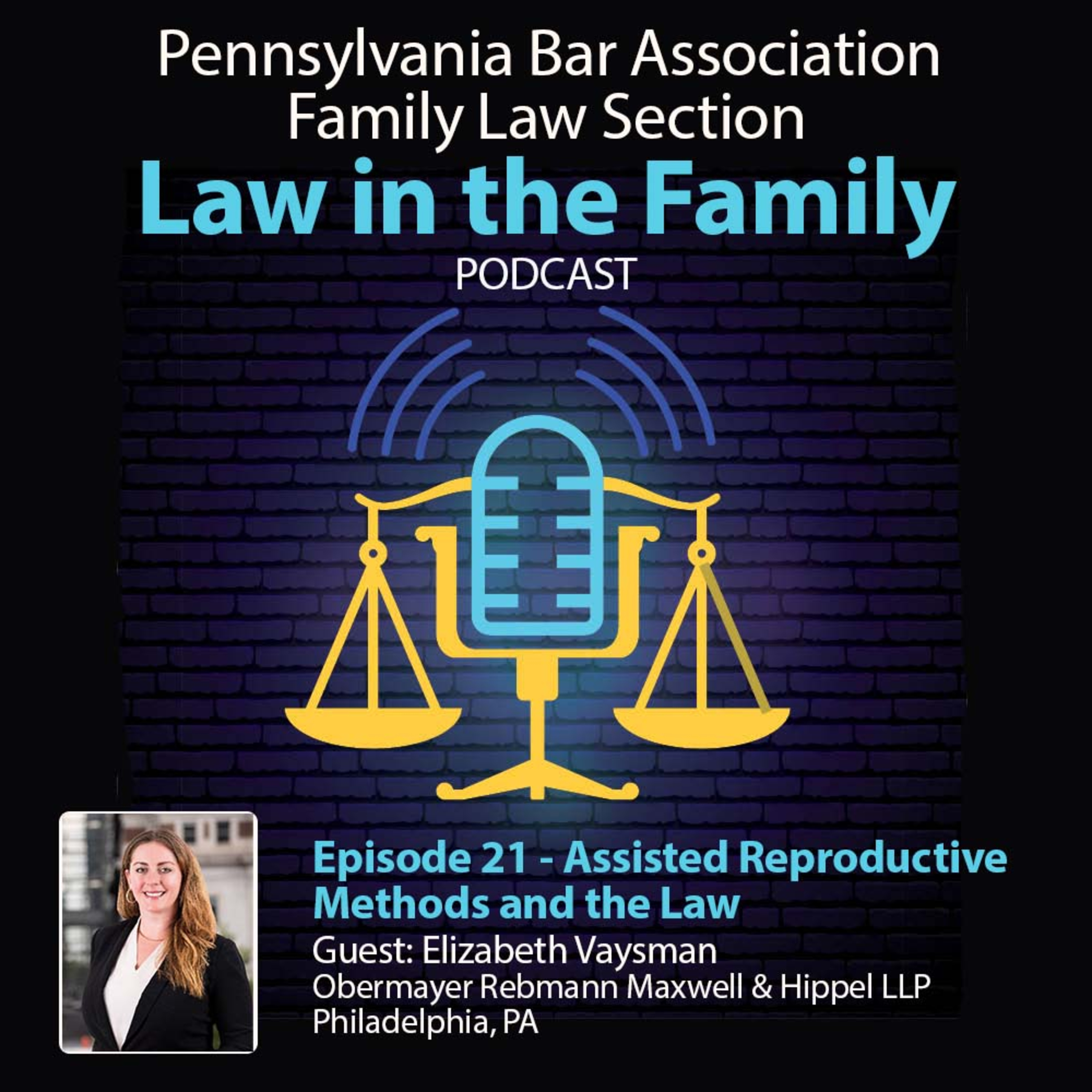  Episode 21 - Assisted Reproductive Methods and the Law | Elizabeth Vaysman episode artwork