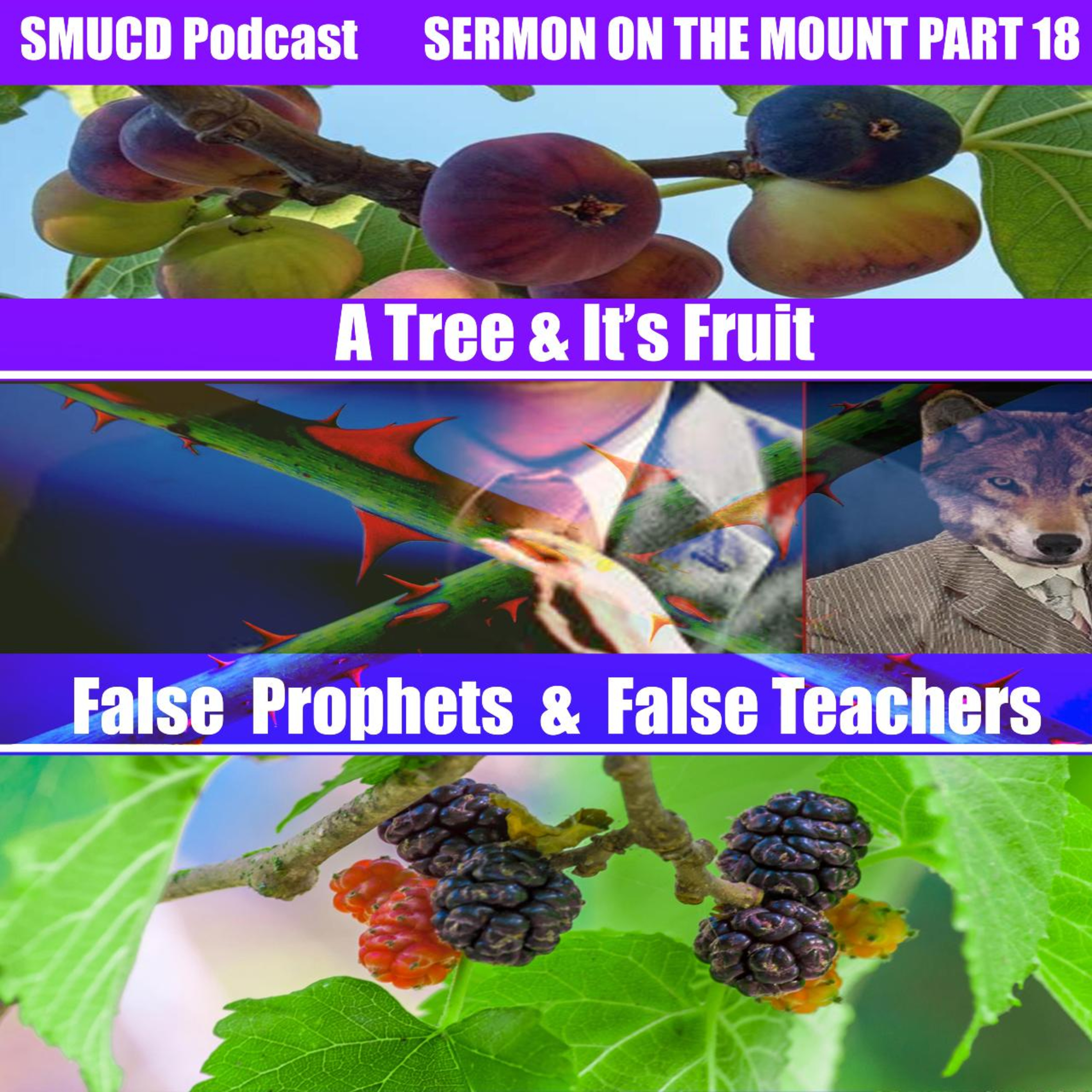 Sermon On The Mount Prt 18 A Tree & Its Fruit (False Prophets & False Teachers) episode artwork