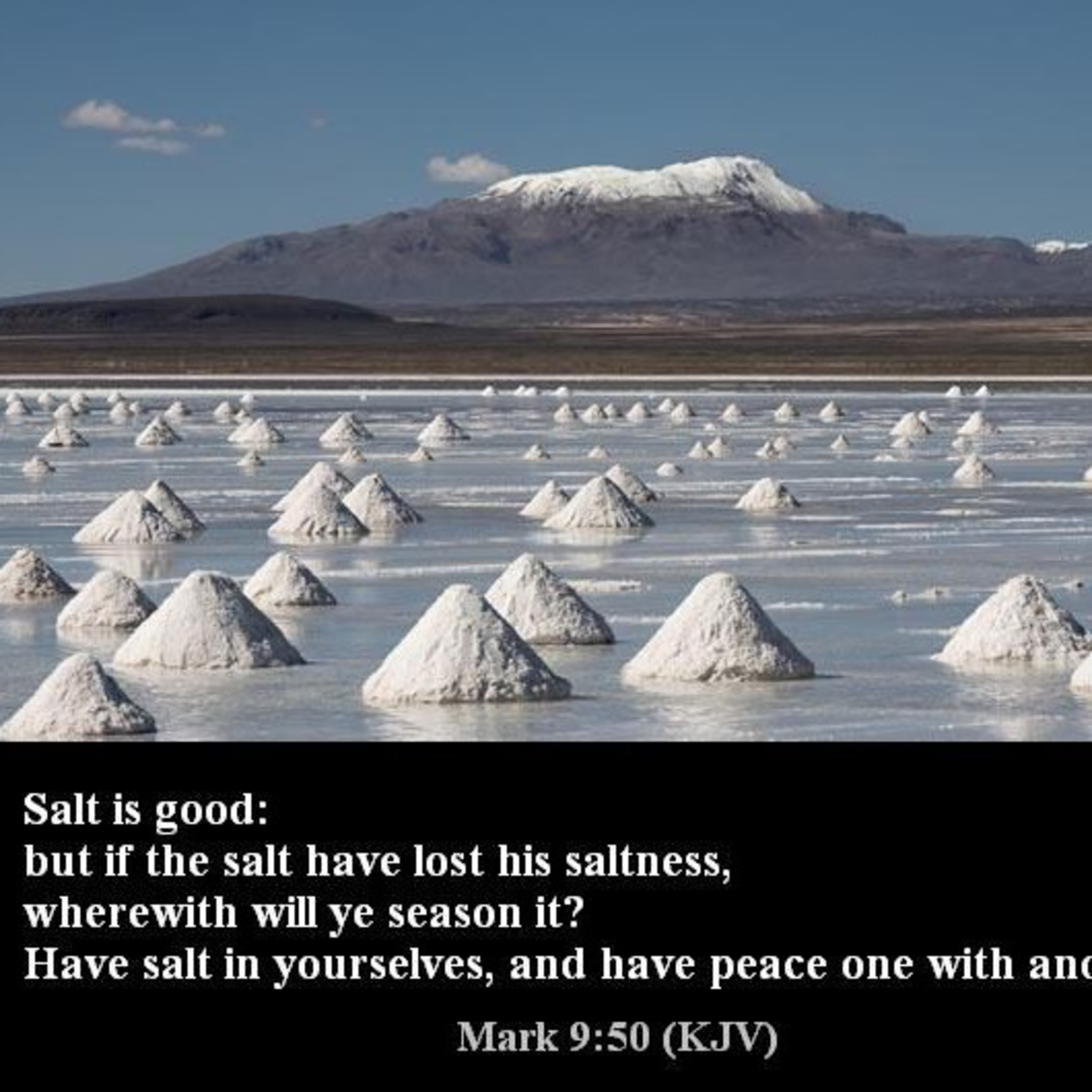 Sermon Series 104 MORE SALT episode artwork