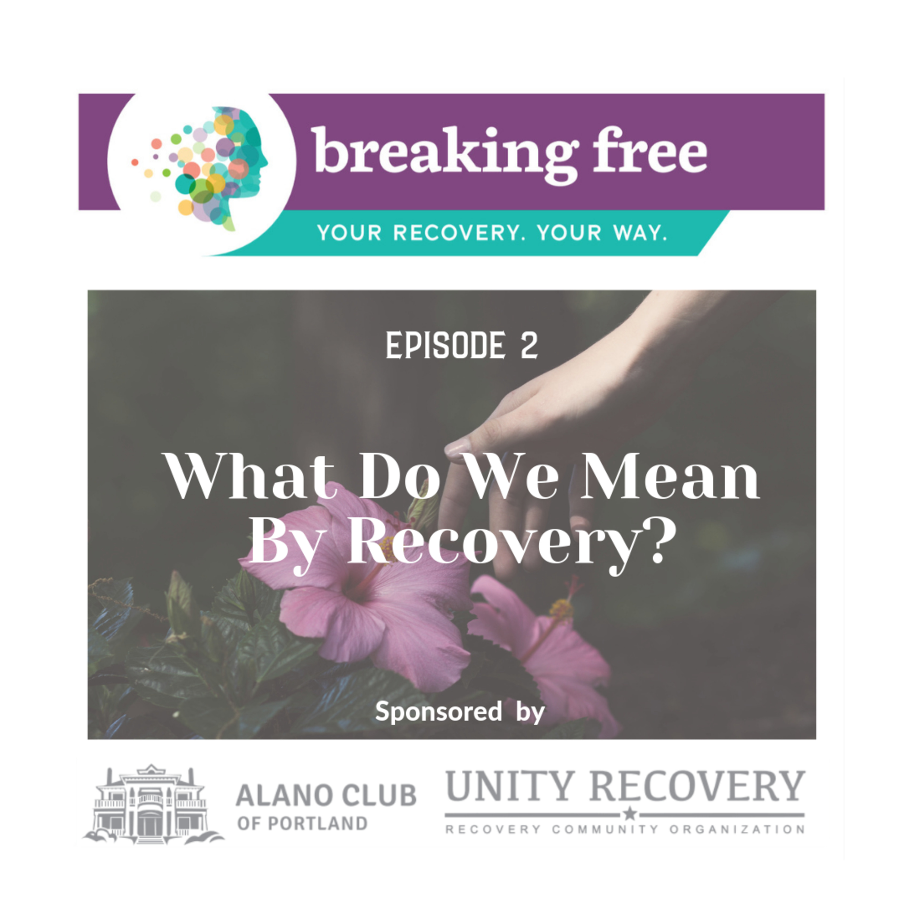 002 What Do We Mean By Recovery?