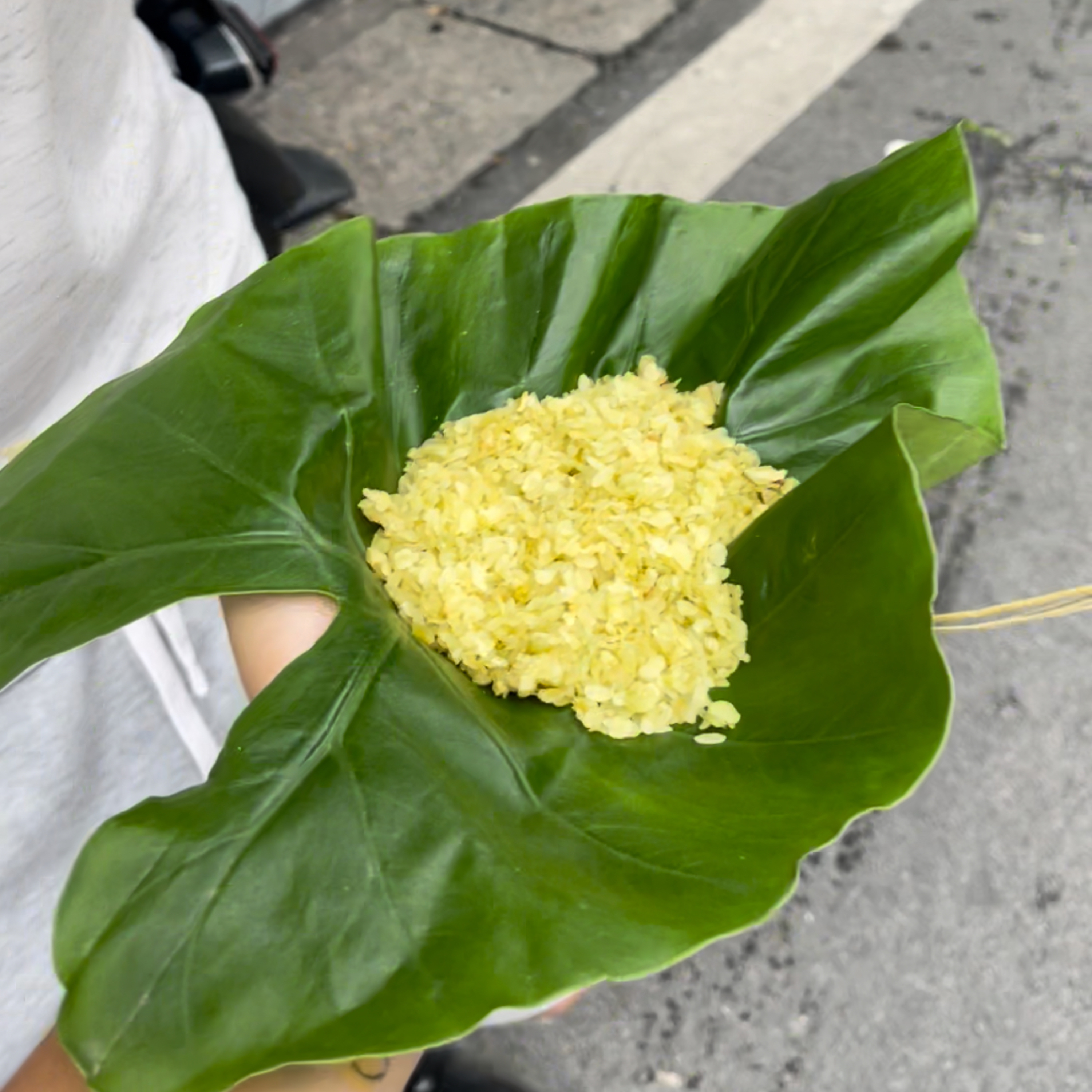 Một tâm hồn đầy Nắng!