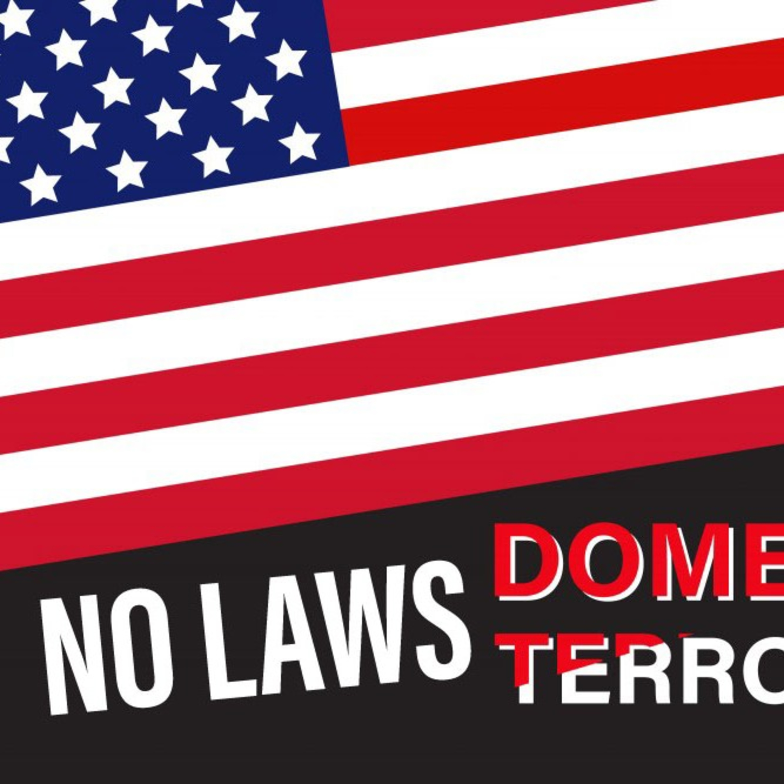 America has no laws for European domestic terrorism  episode artwork