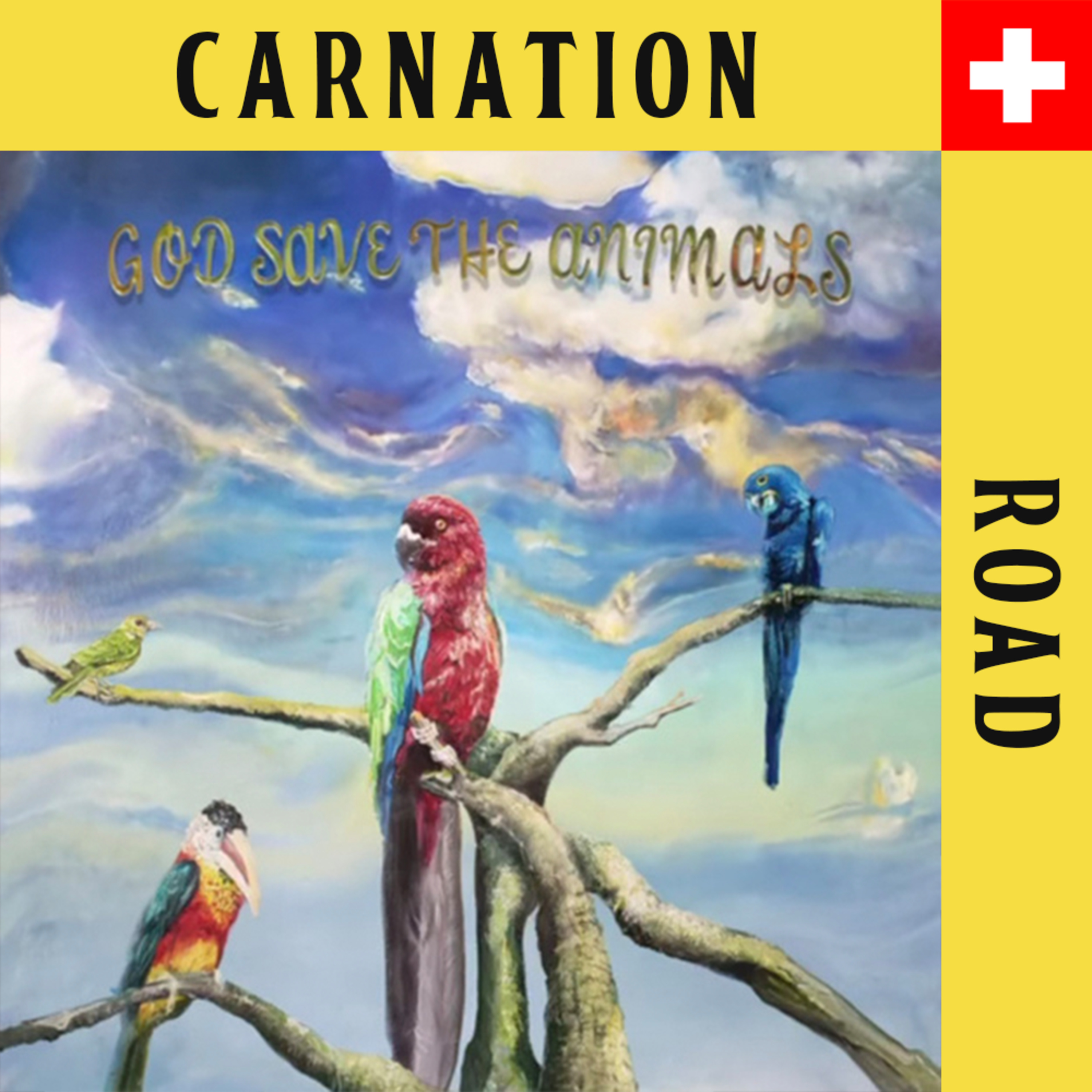 Carnation Road