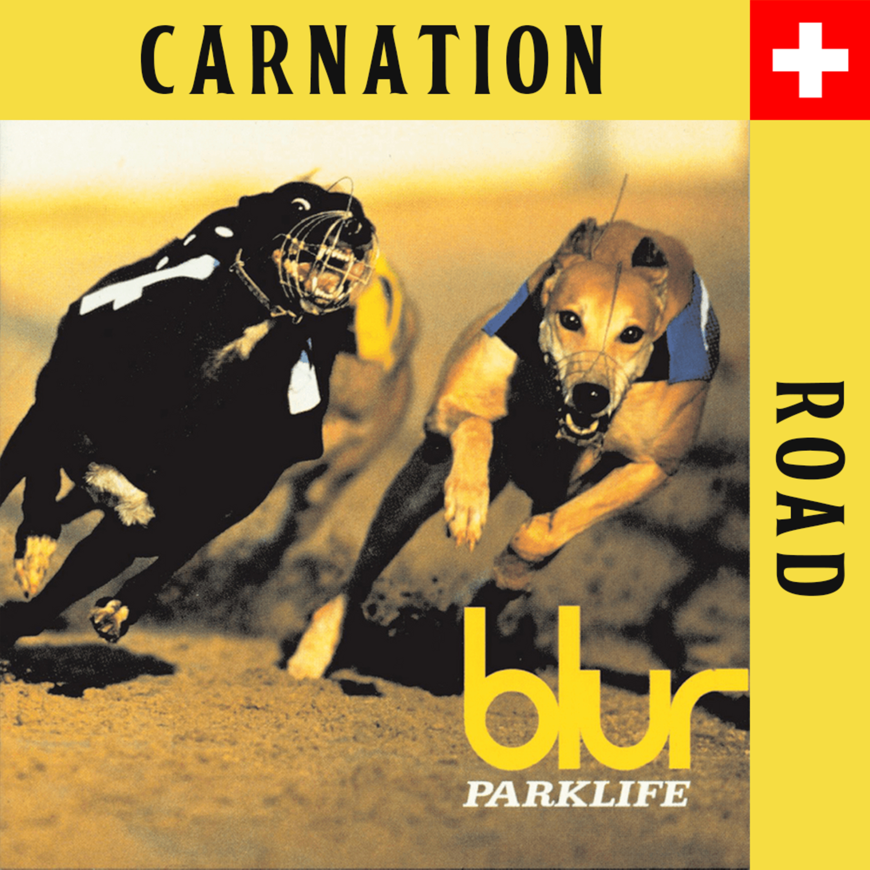 Carnation Road