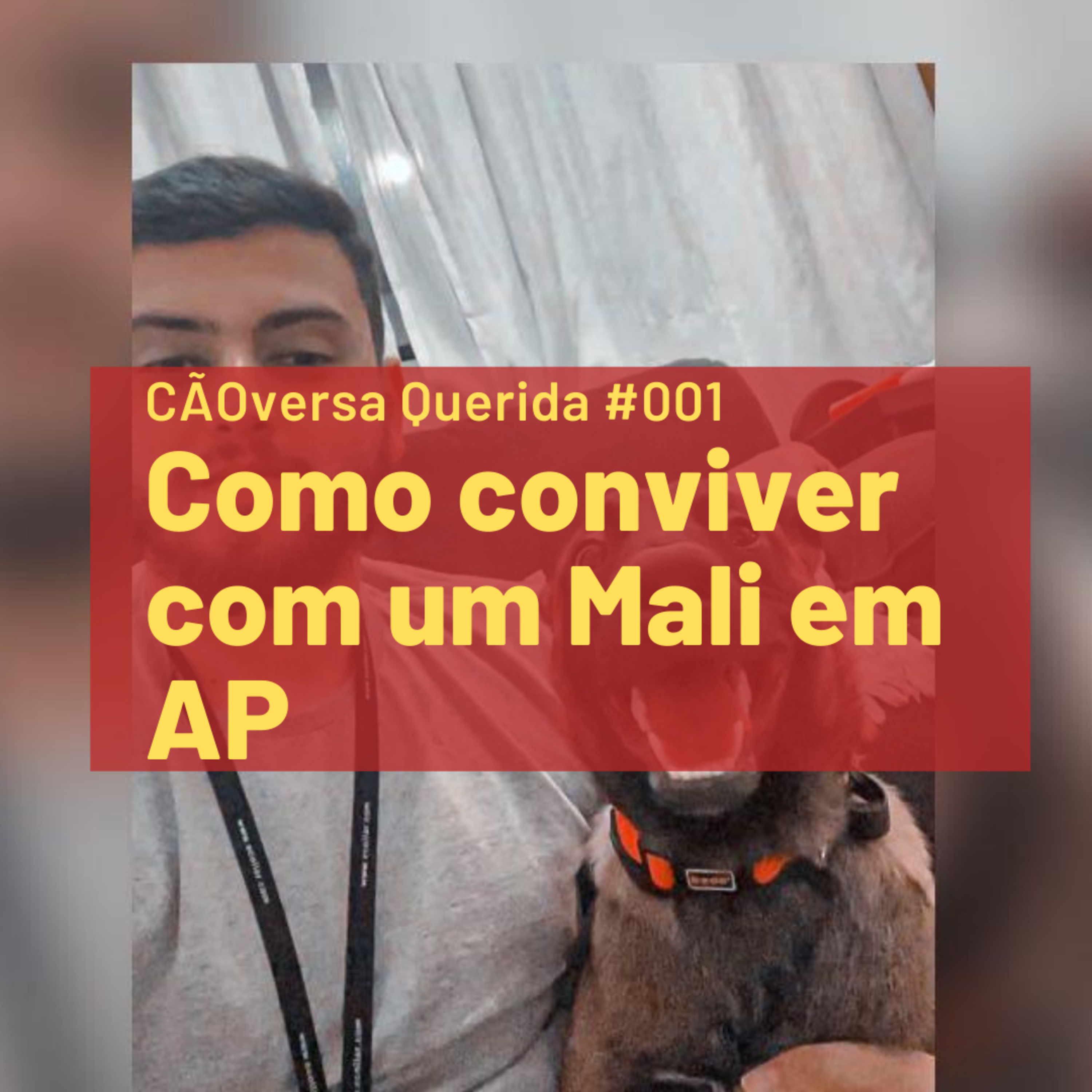 CÃOversa Querida