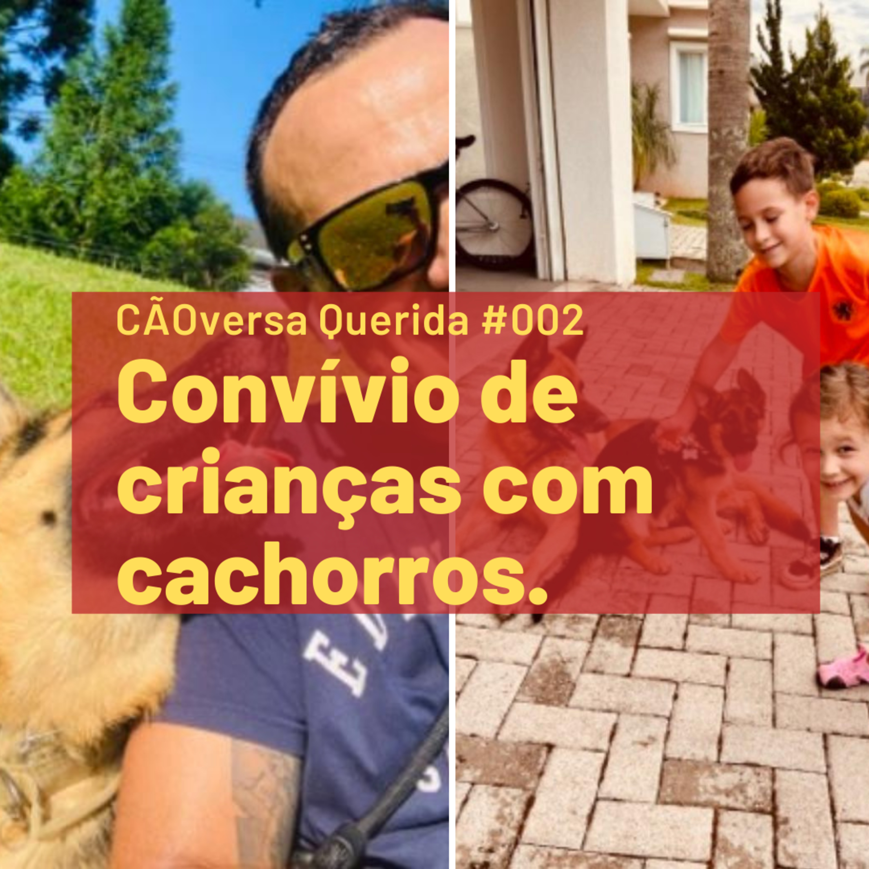 CÃOversa Querida