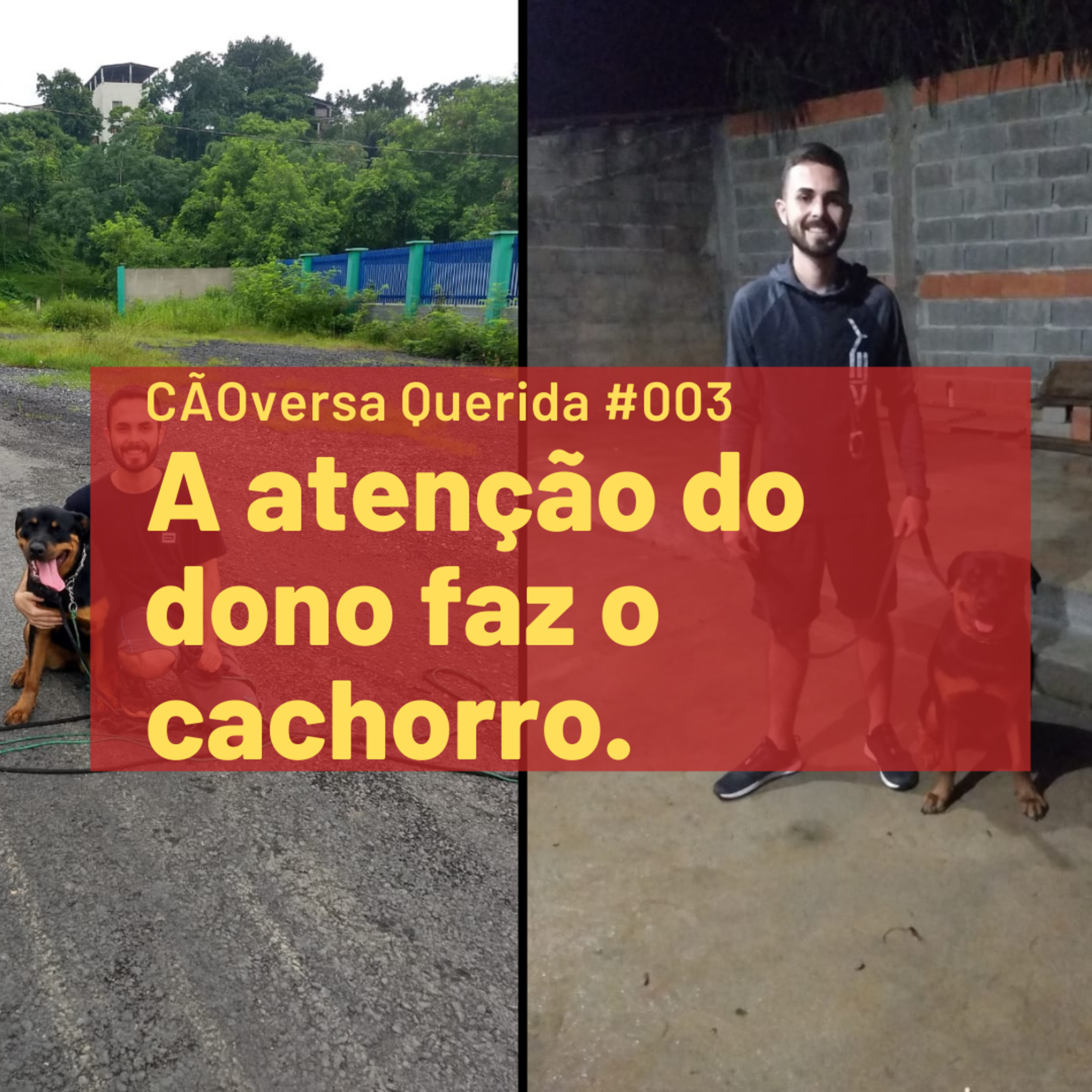 CÃOversa Querida