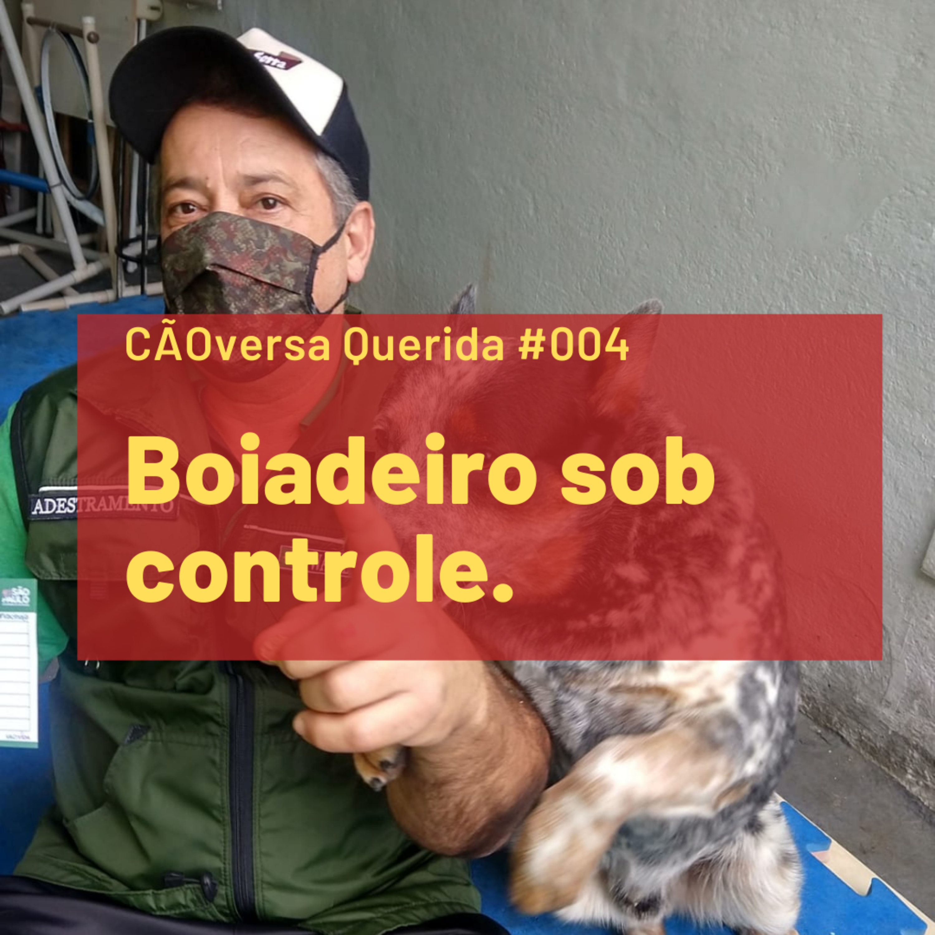 CÃOversa Querida
