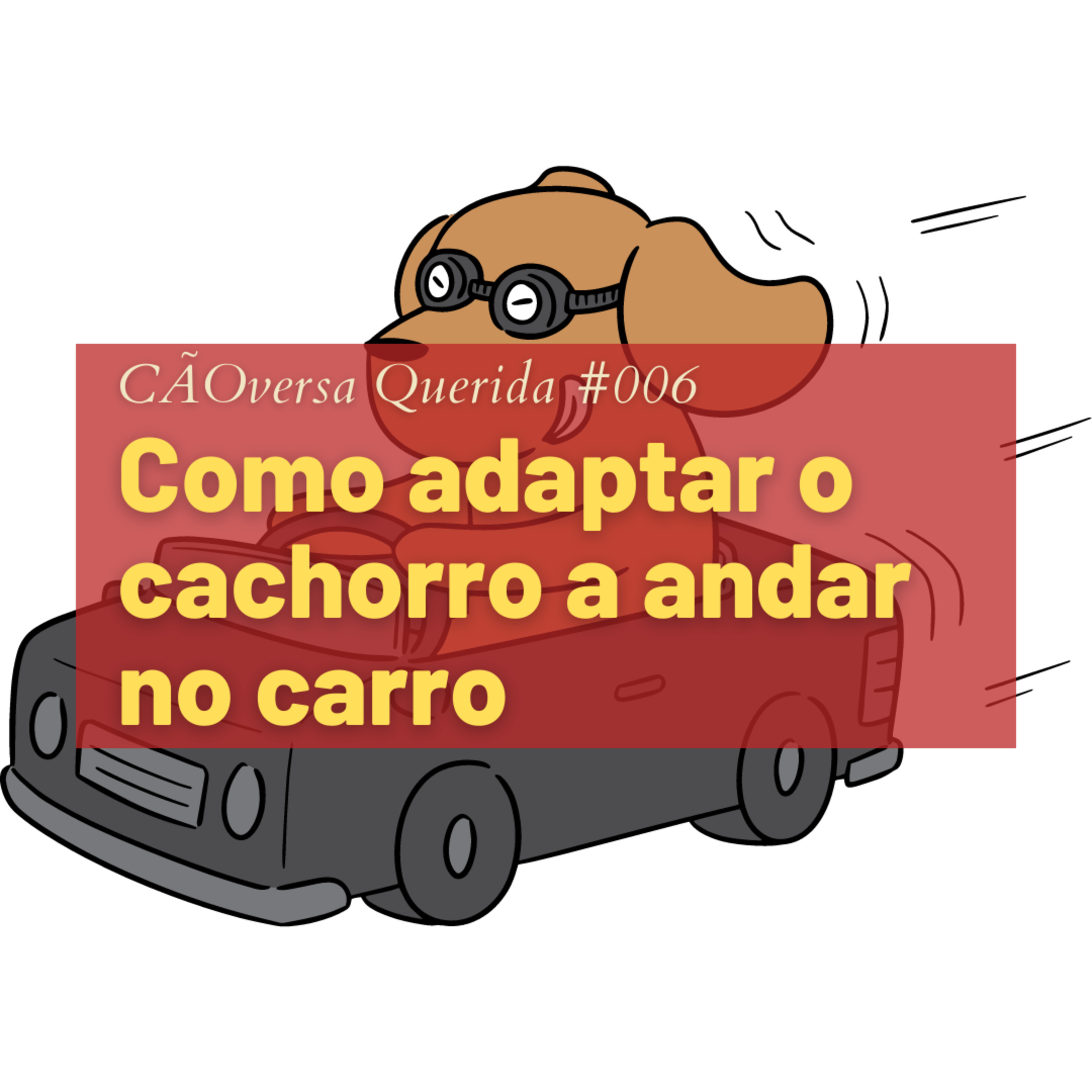 CÃOversa Querida