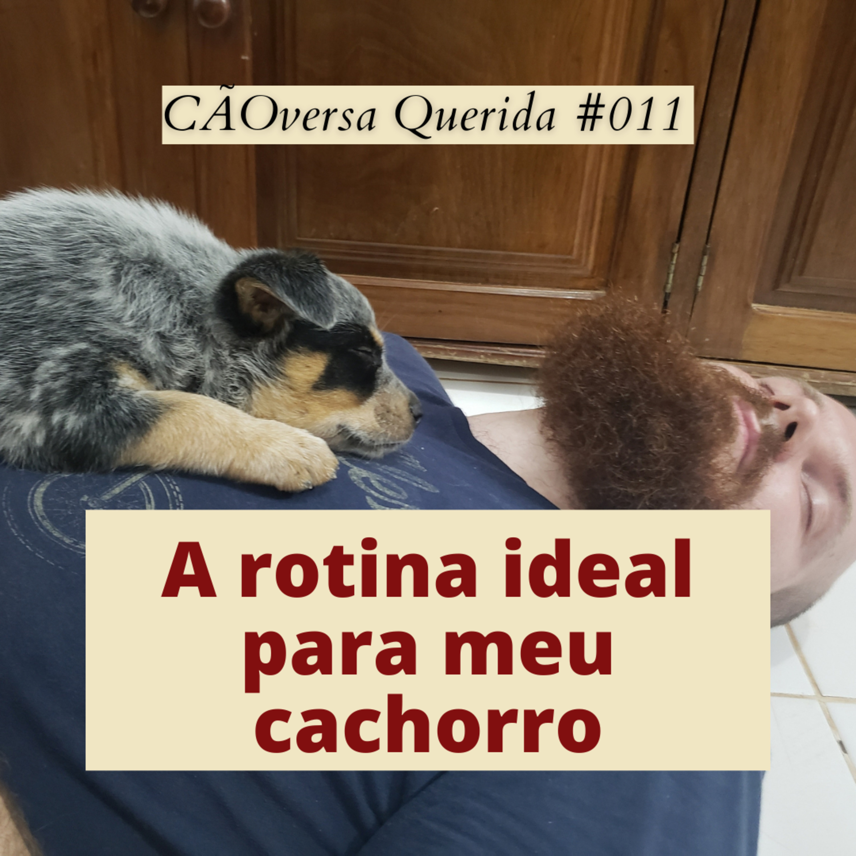 CÃOversa Querida
