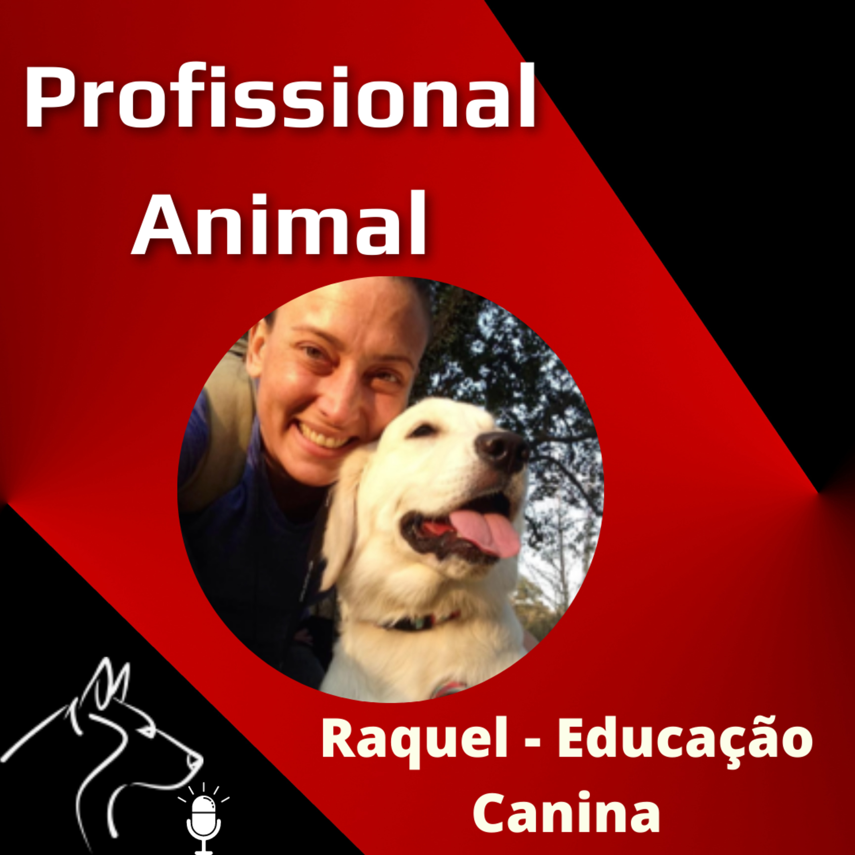 CÃOversa Querida