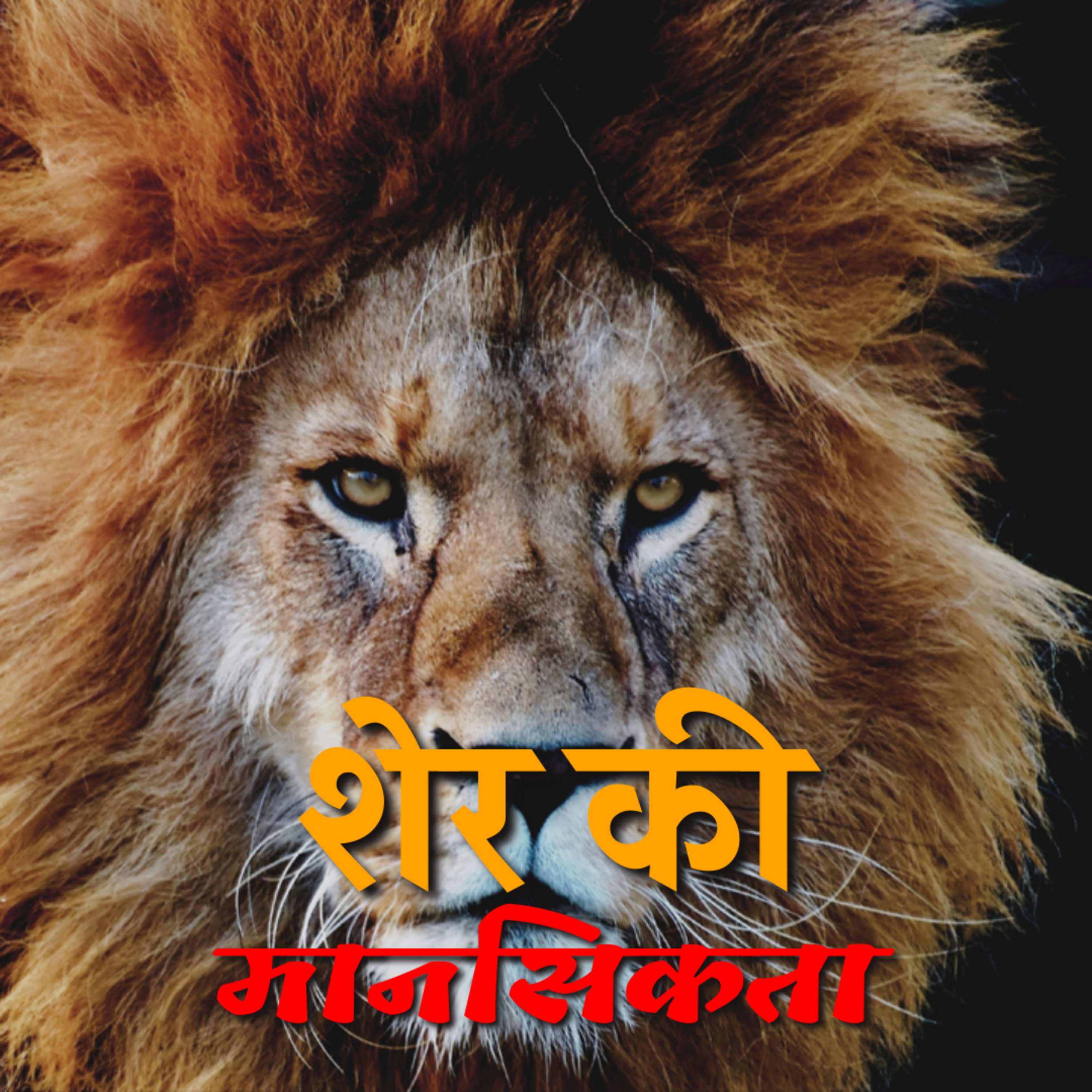 Meri Jeet