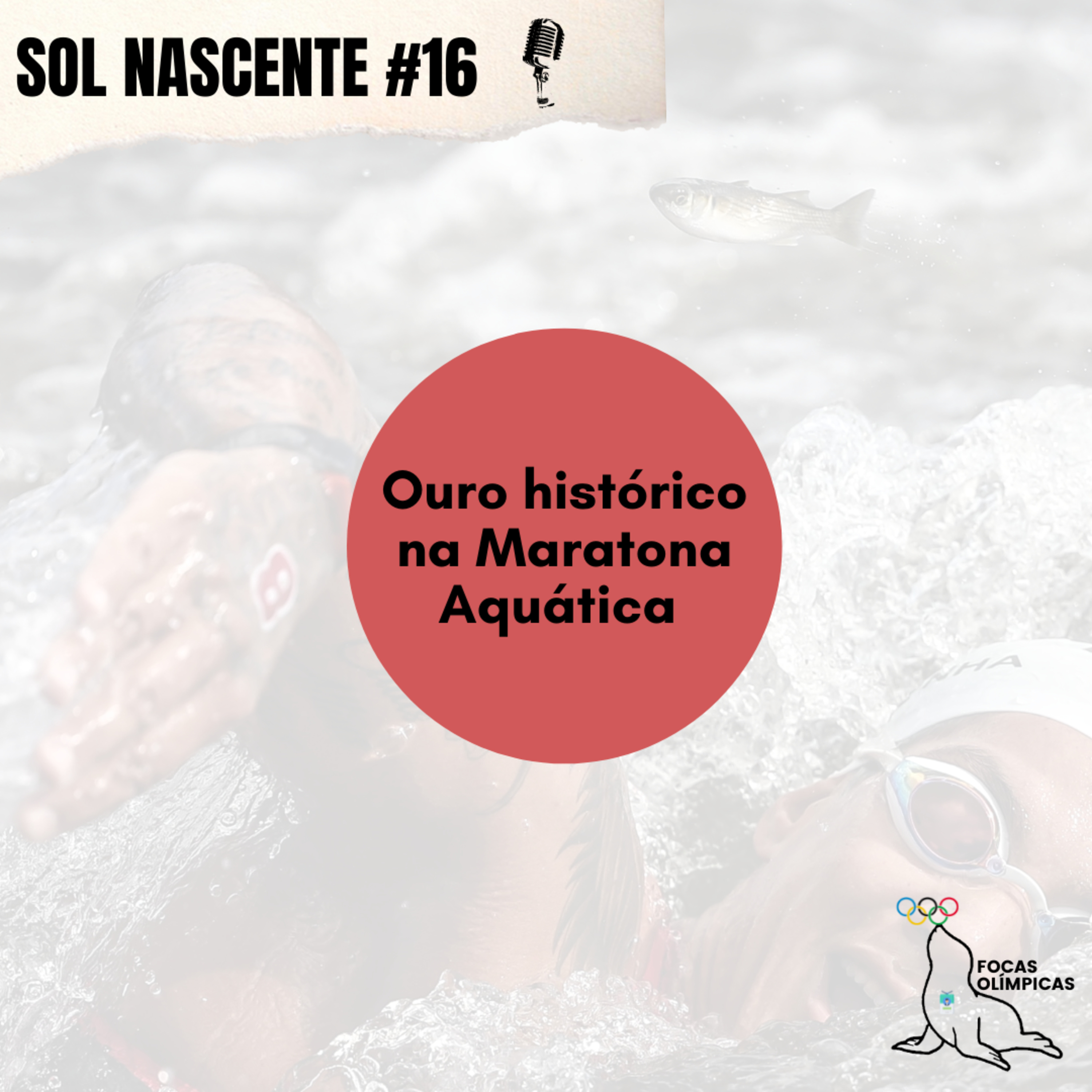 Focas Olímpicas