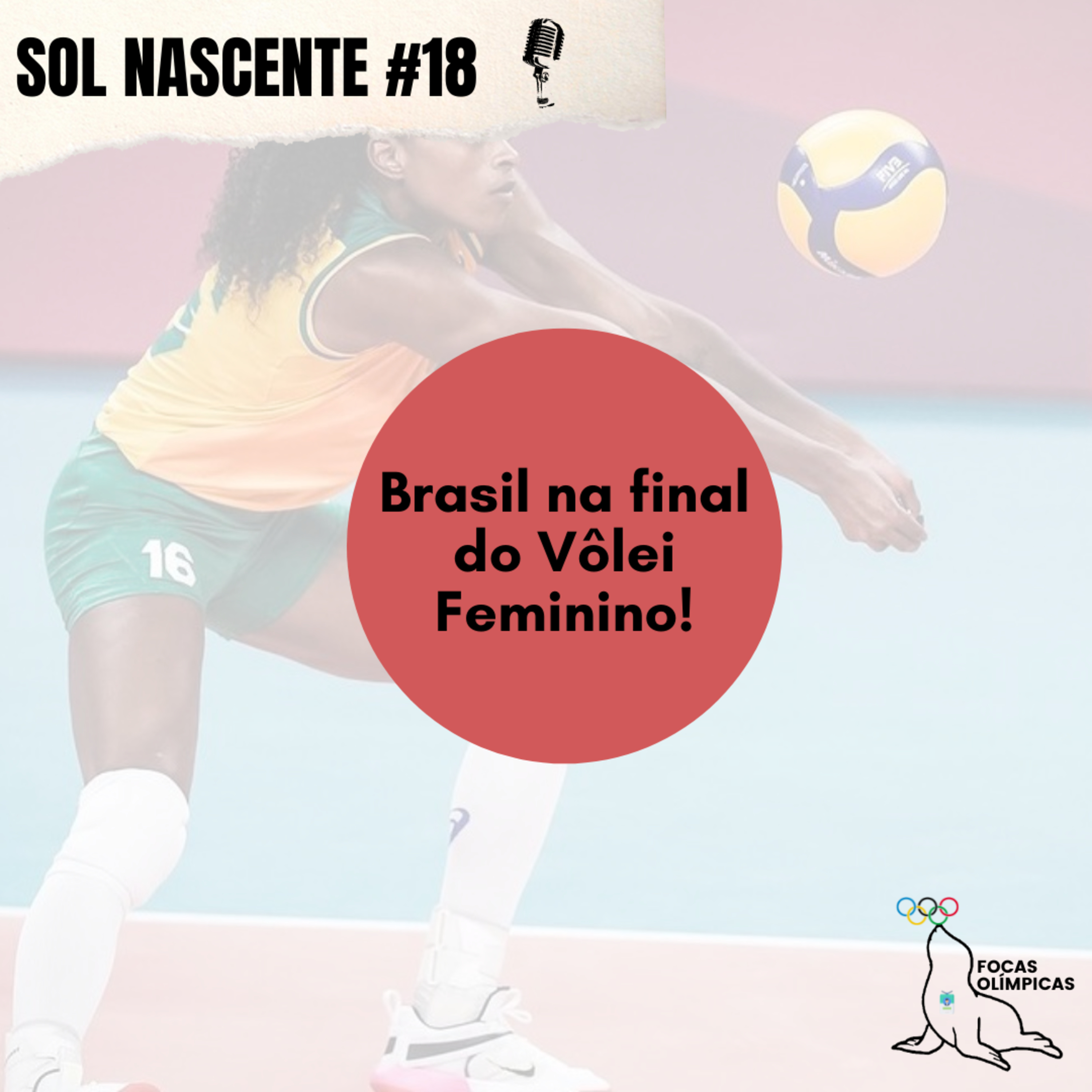 Focas Olímpicas