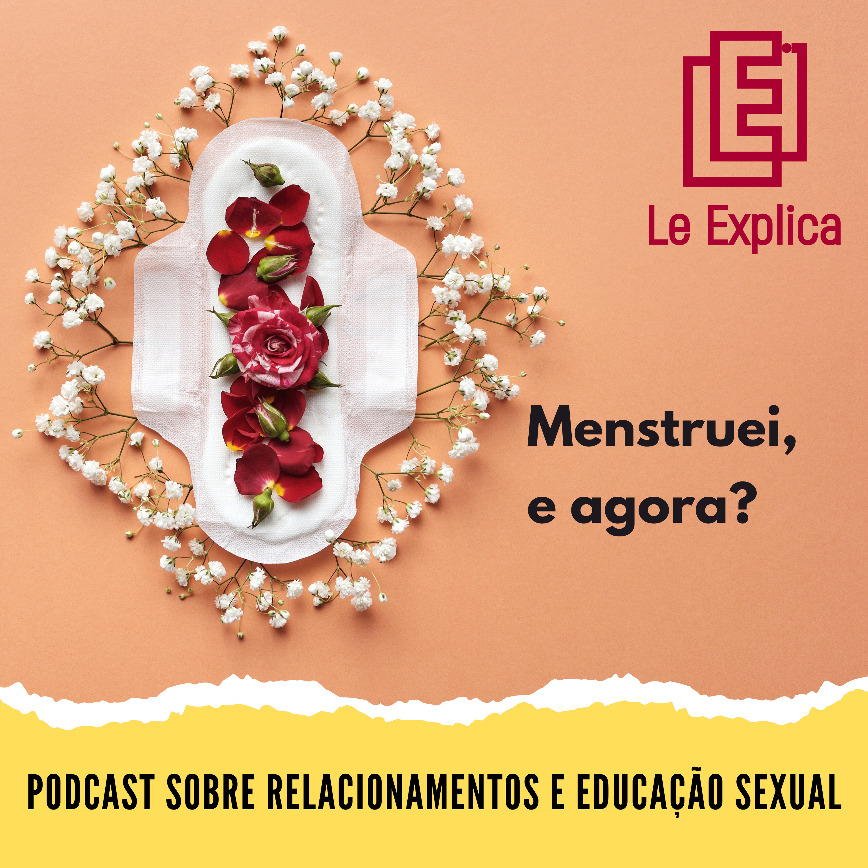 Menstruei, e agora? episode artwork