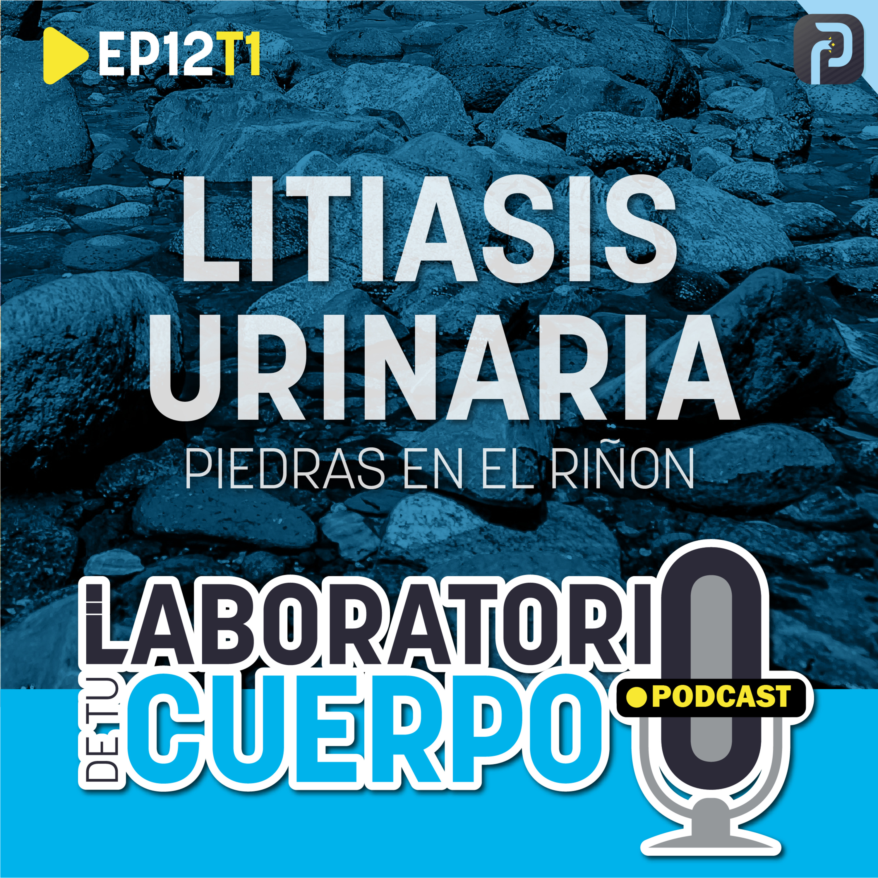 El Laboratorio de tu Cuerpo