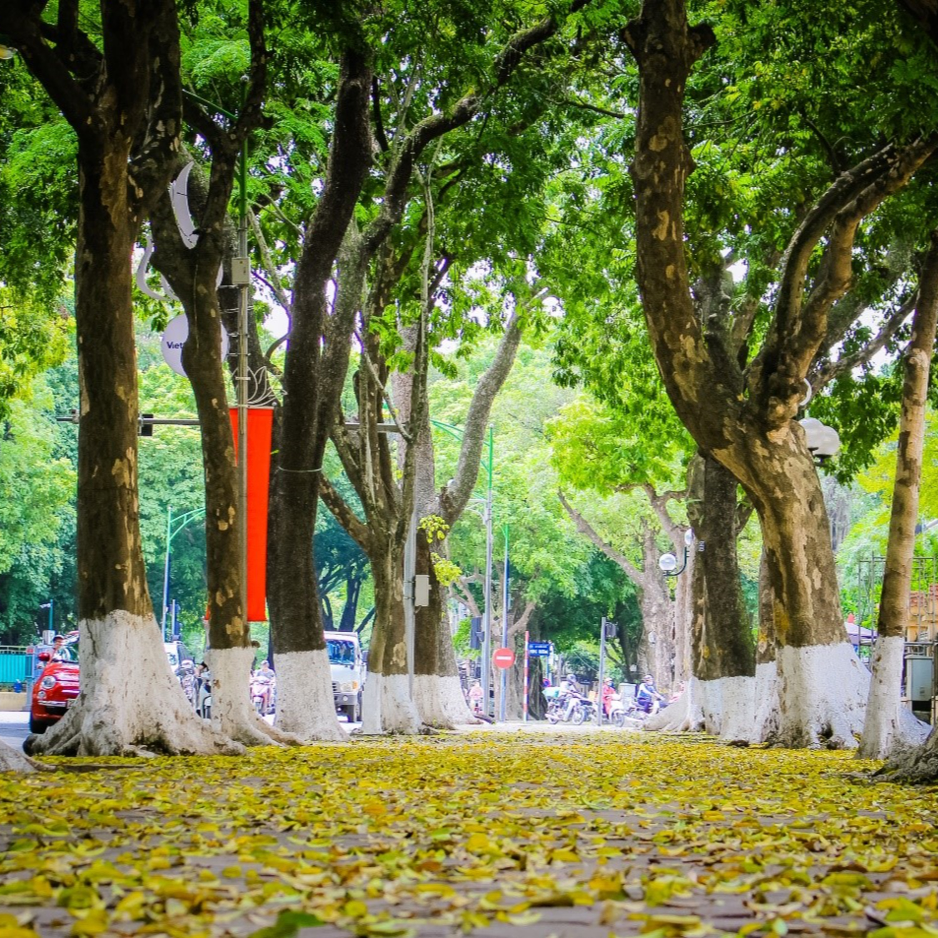 Gửi thơ cho gió