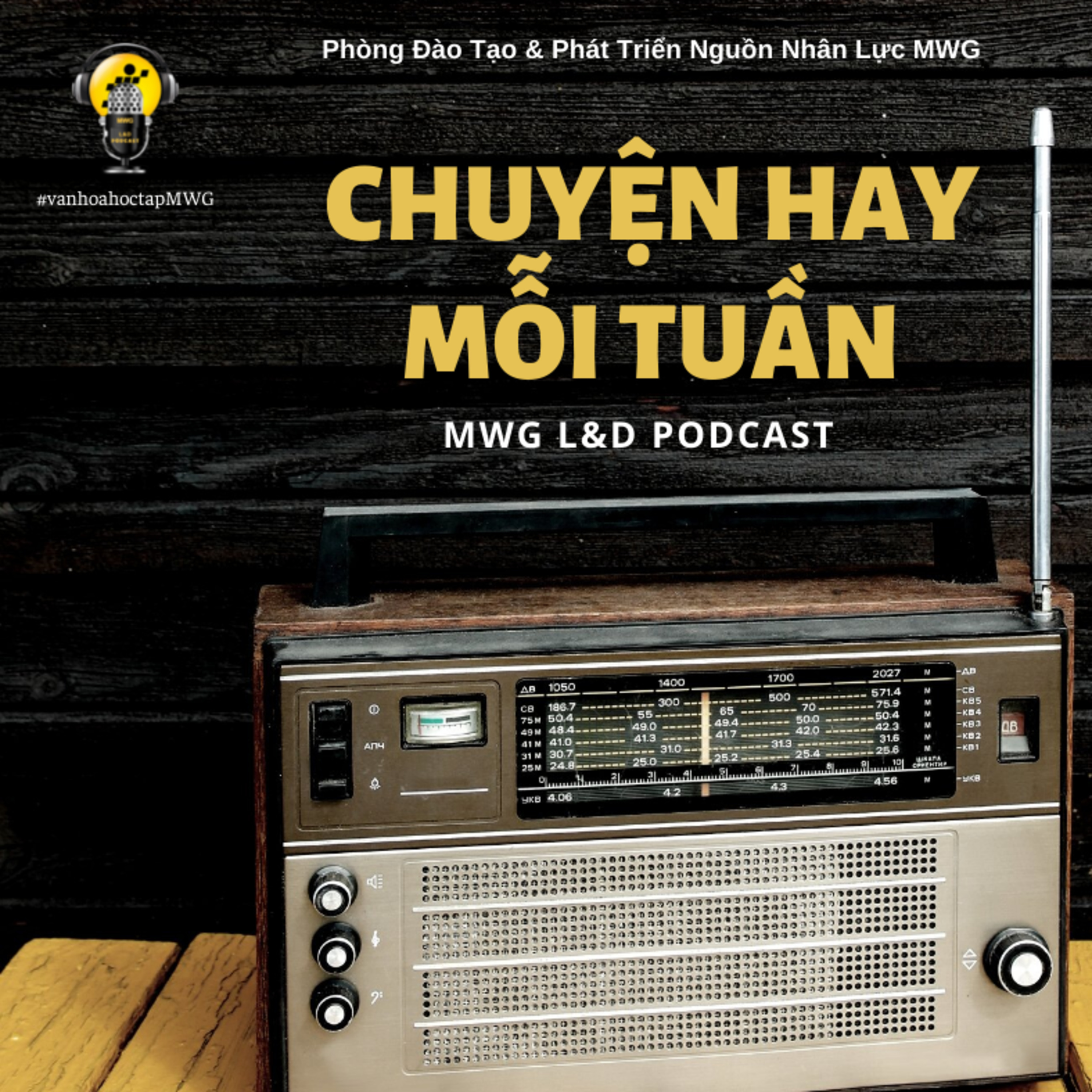 PODCAST L&D MWG
