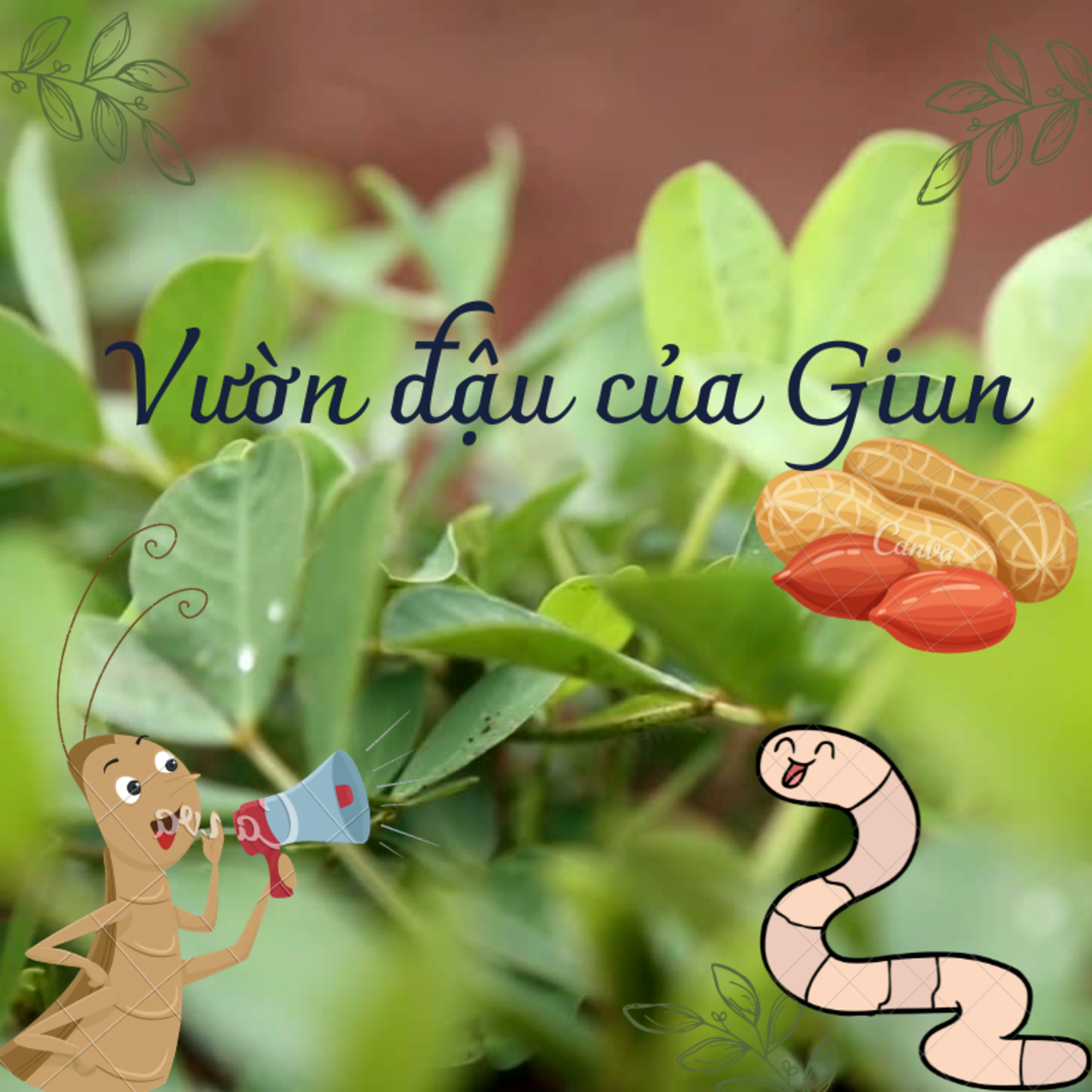 Thiền Trăng
