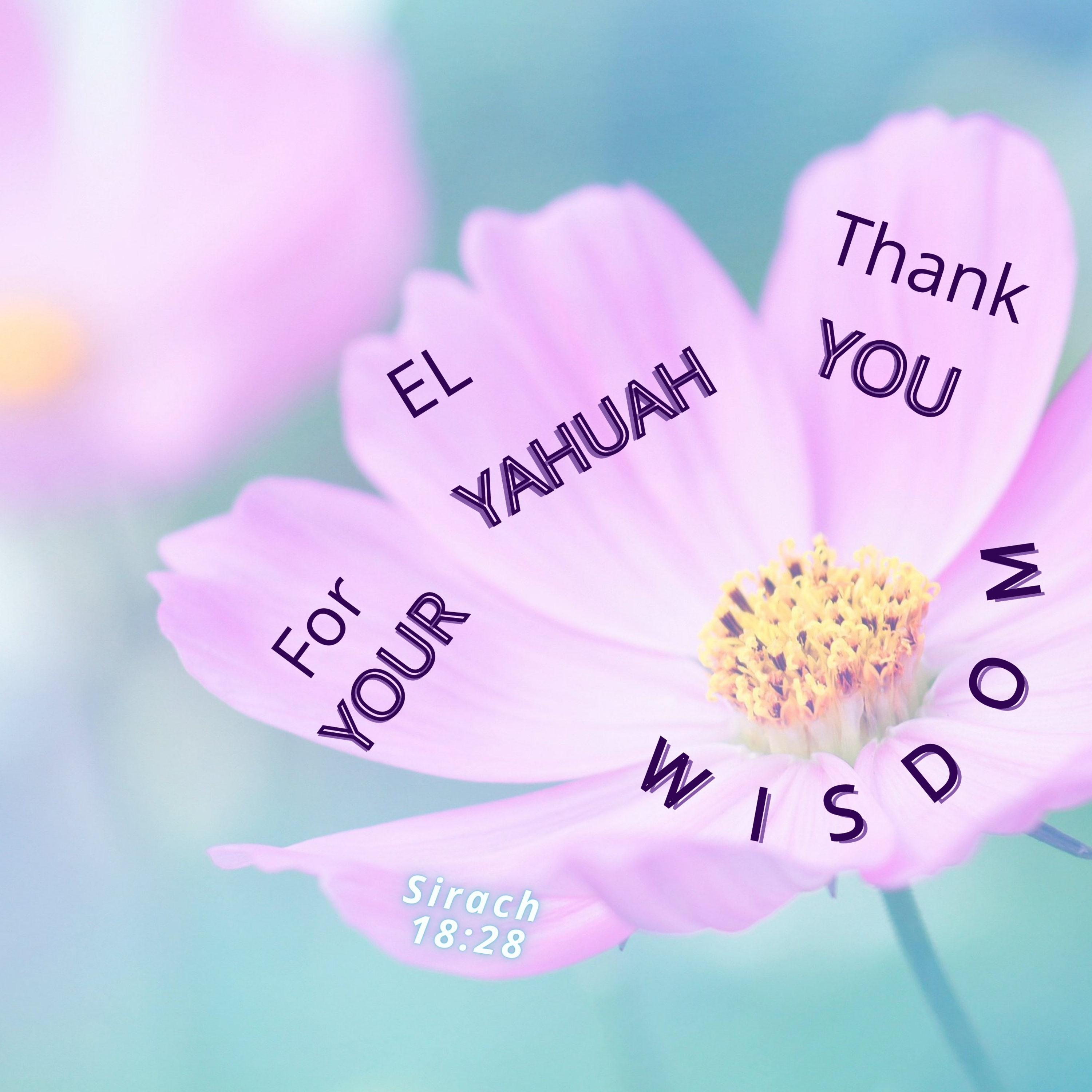 PRAISE & WORSHIP YAH IN RUACH & IN TRUTH