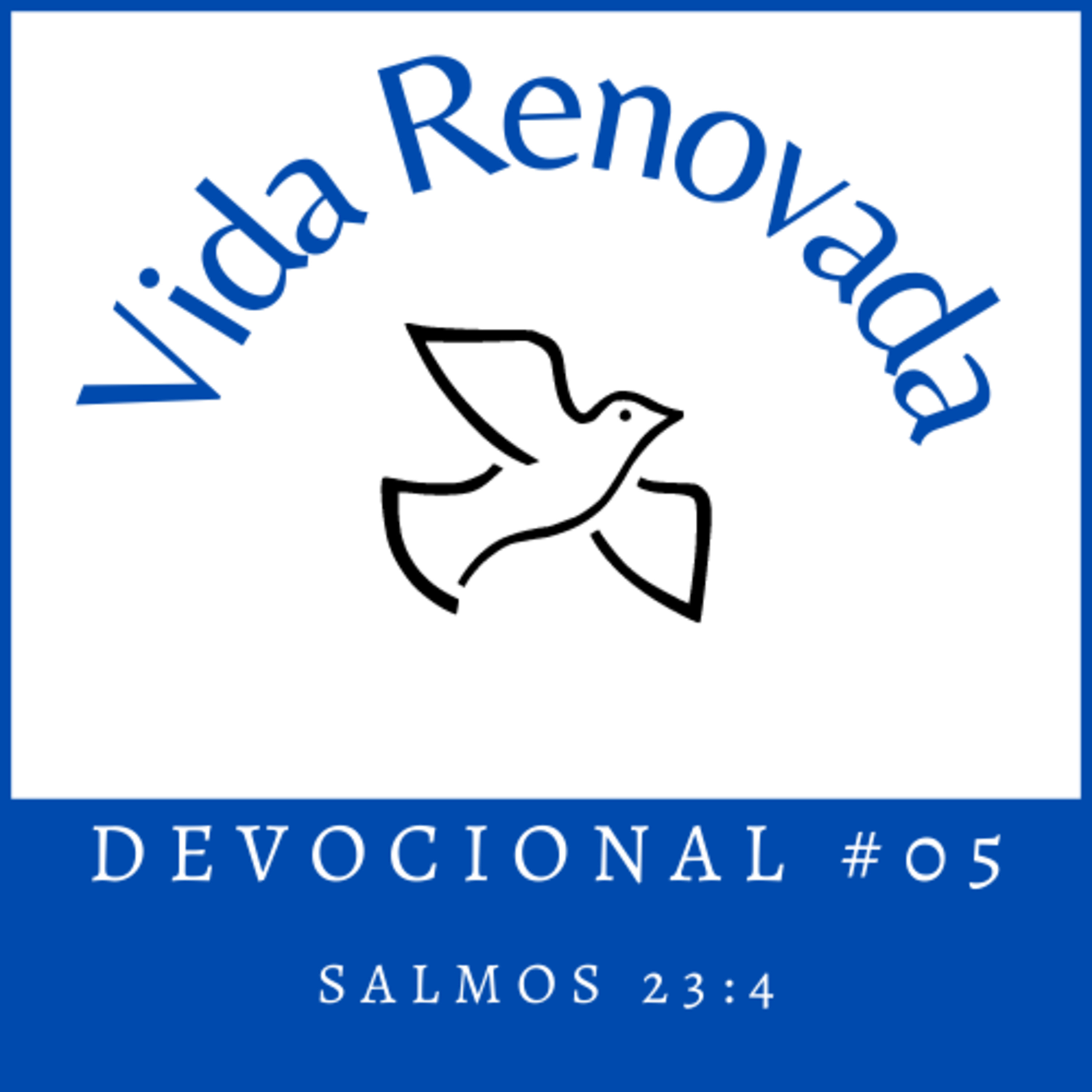 Vida Renovada