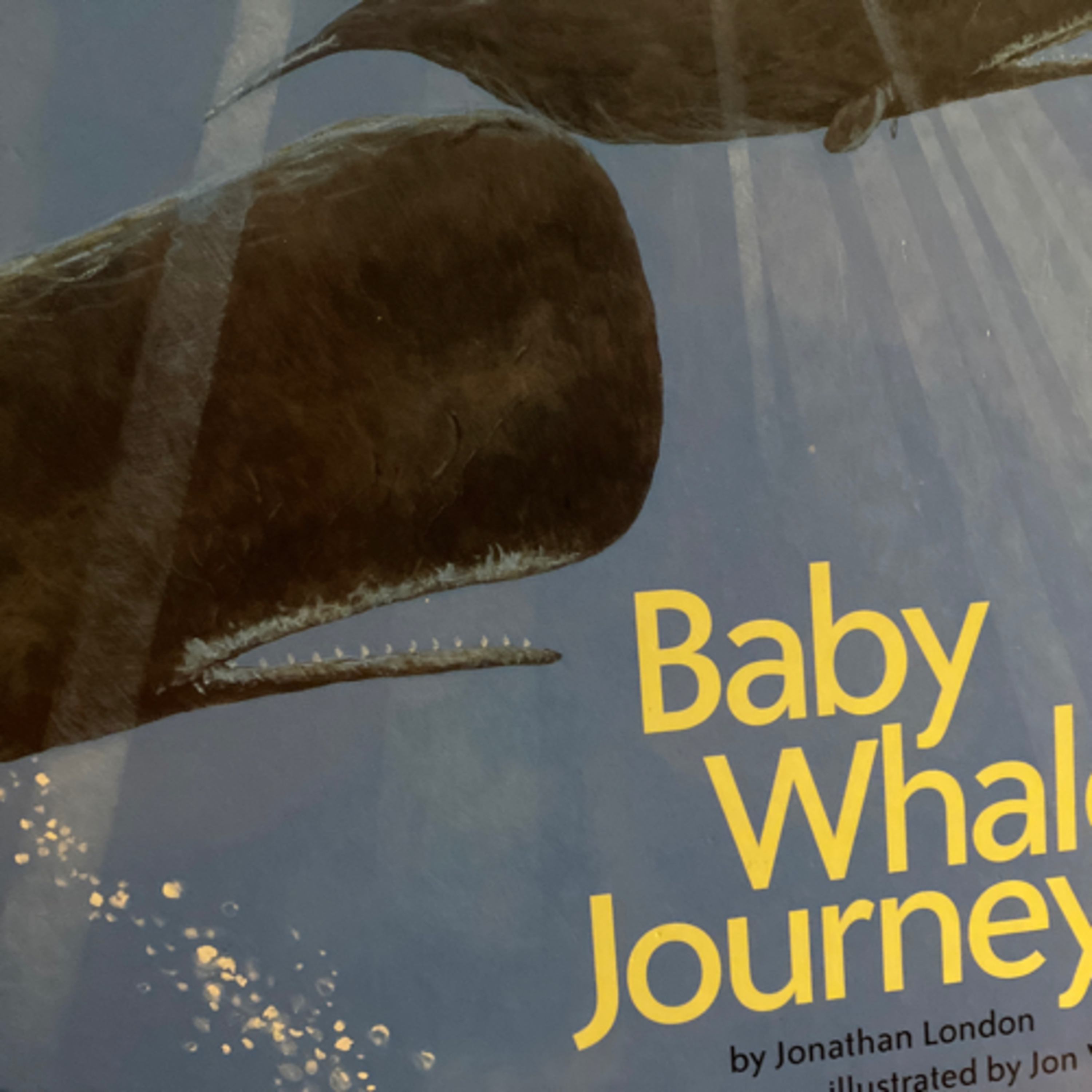 Little Blue Bird Books