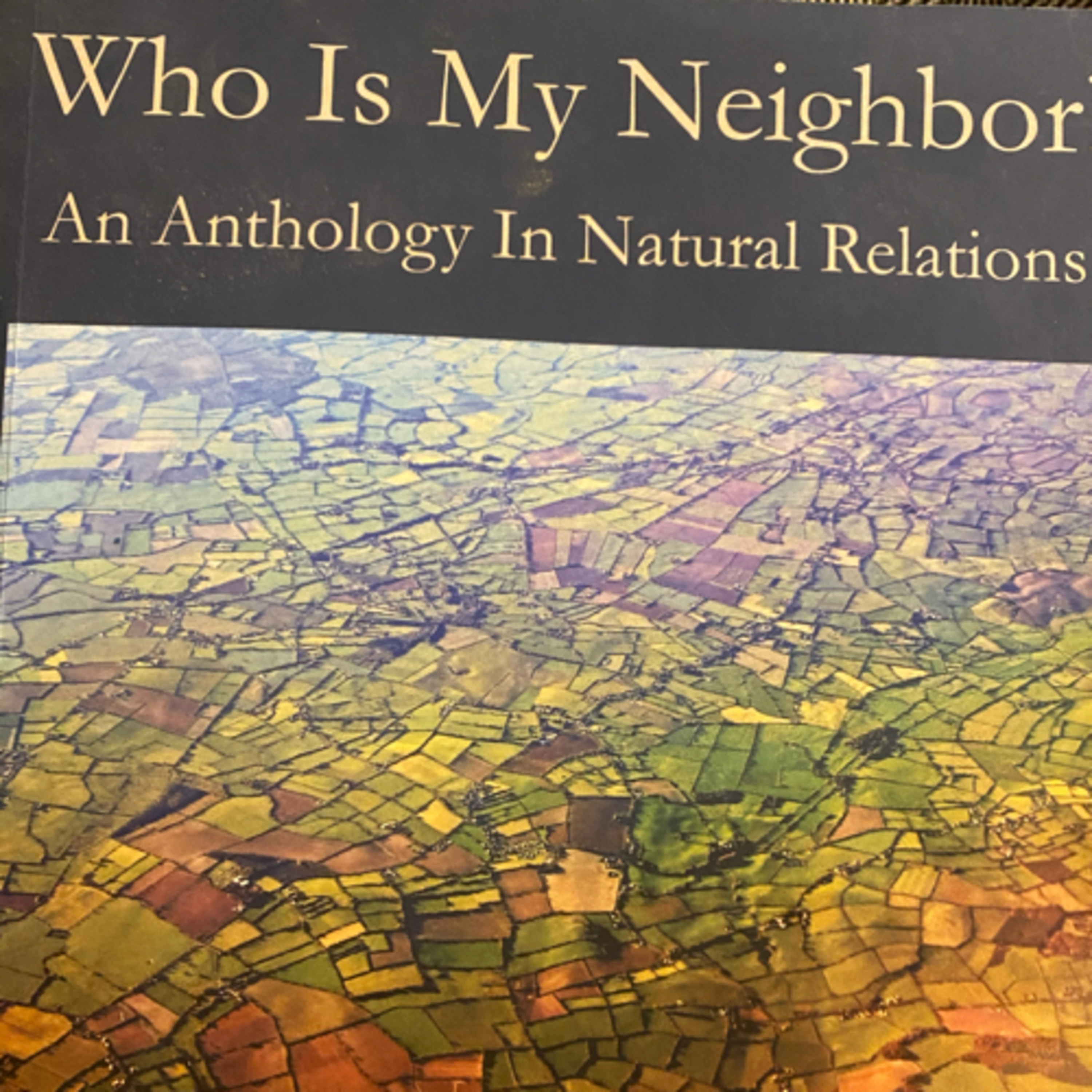 Little Blue Bird Books