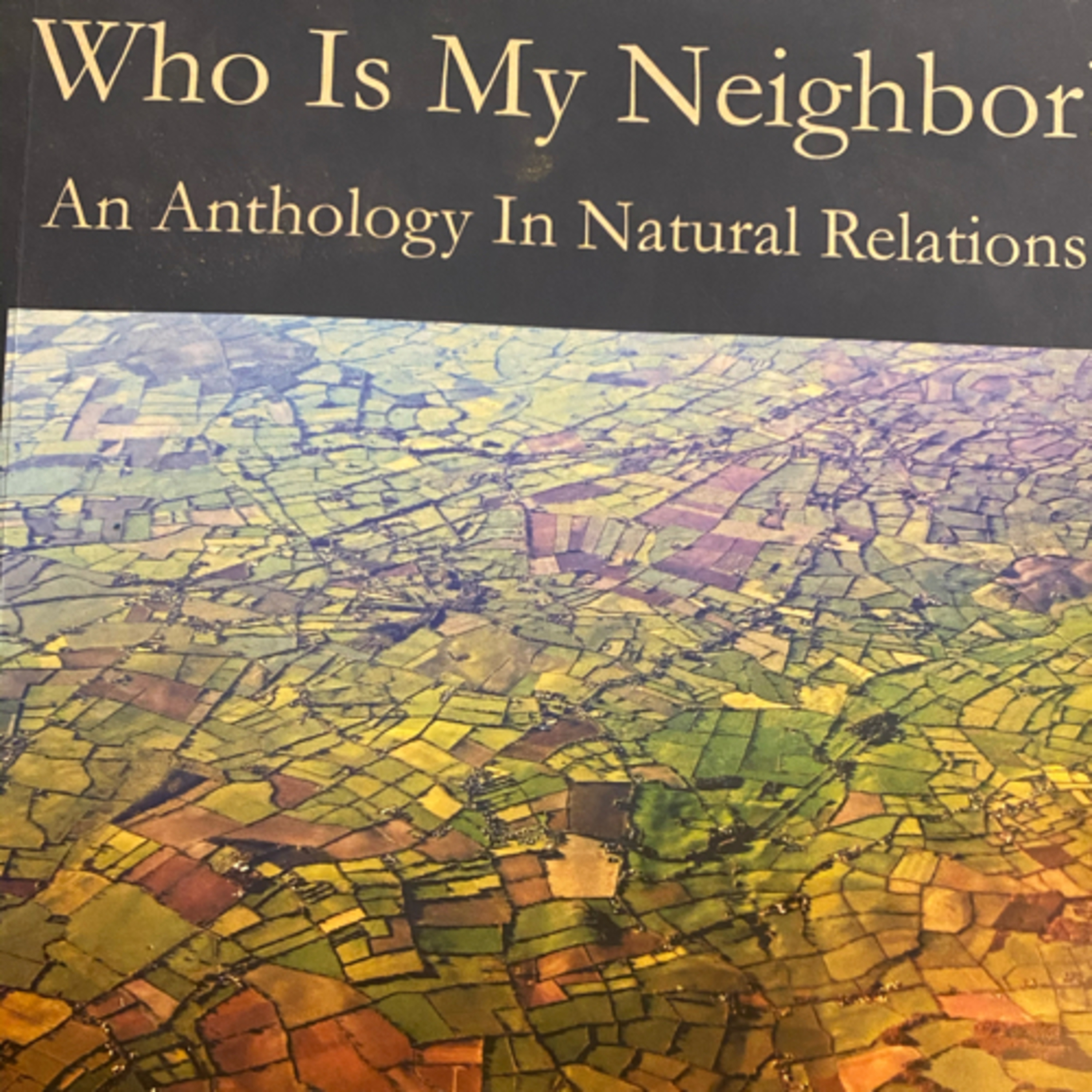 Little Blue Bird Books