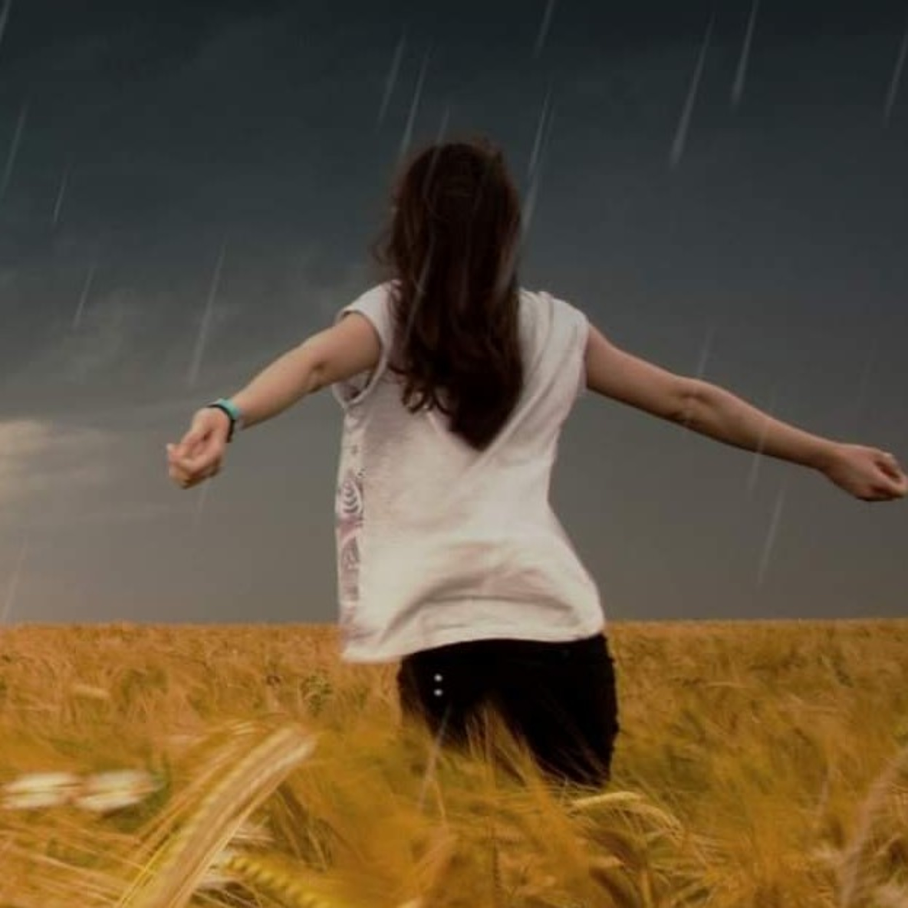 STORMS OF OBEDIENCE  episode artwork