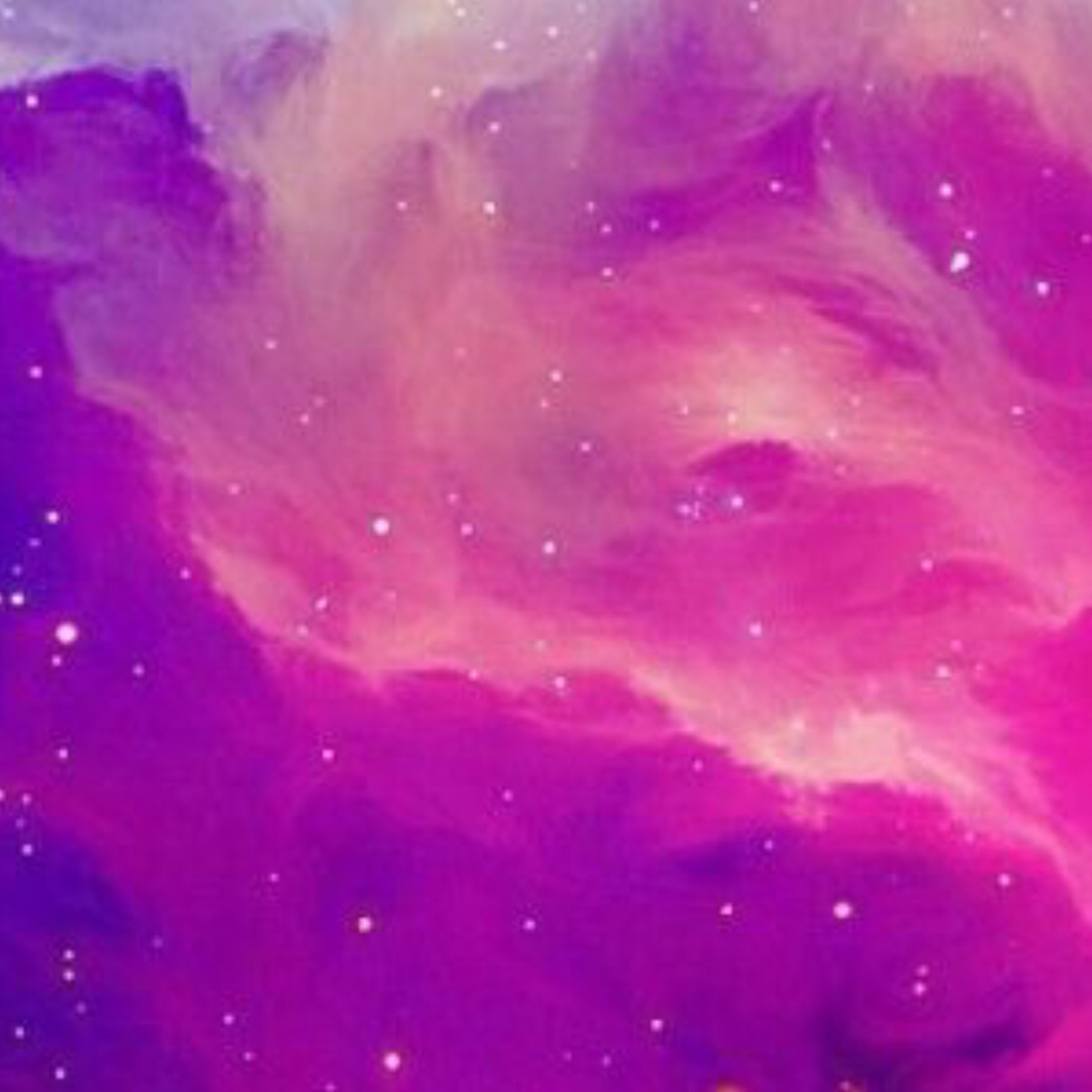 Spiders: are they Good or Bad?