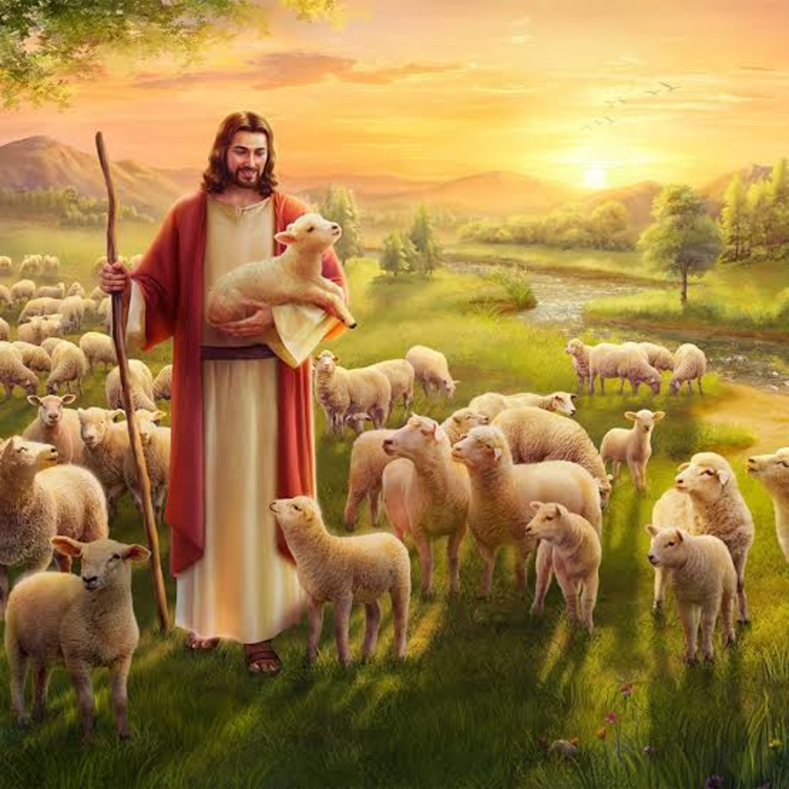 A Bordo Con Jesús