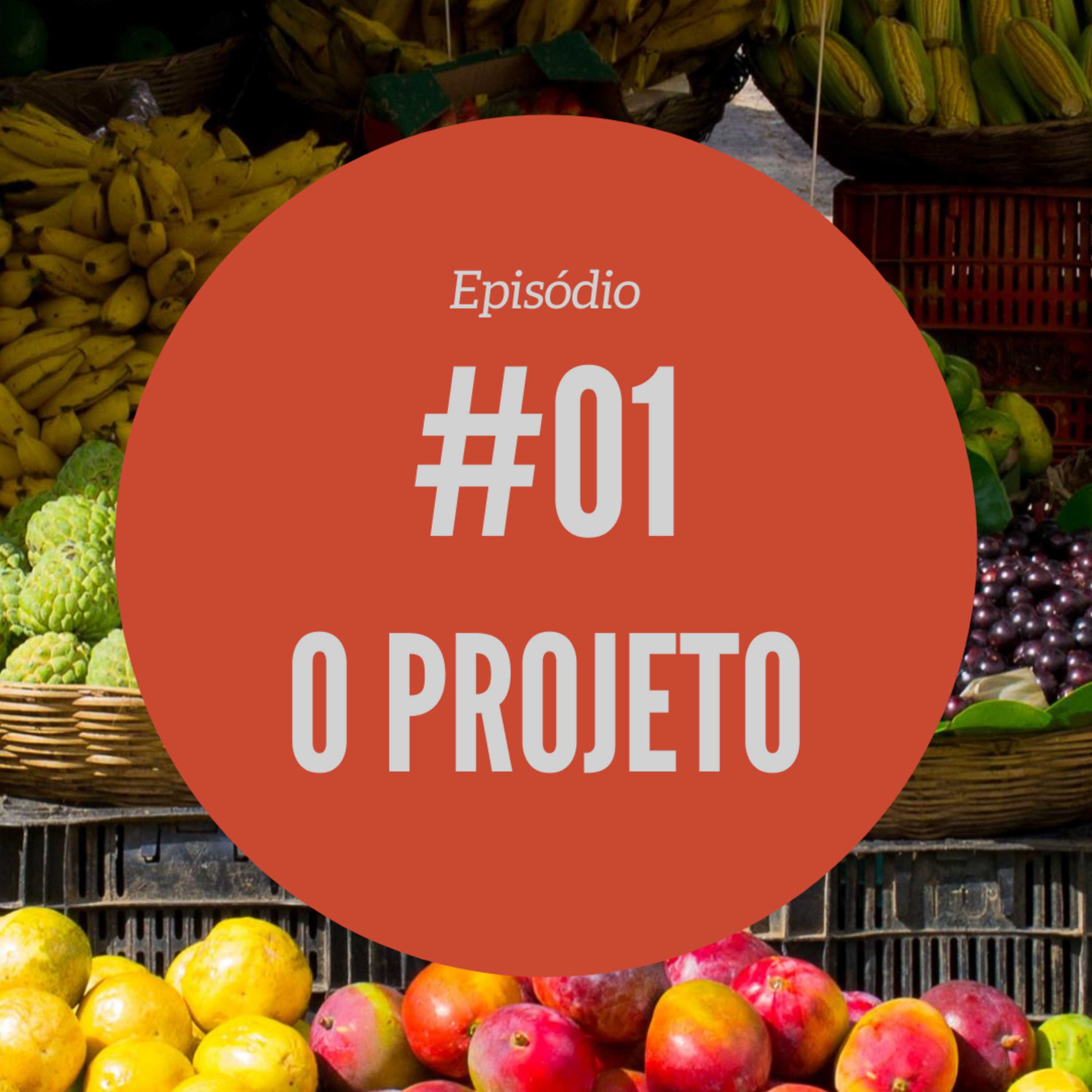 #01 - O Projeto episode artwork