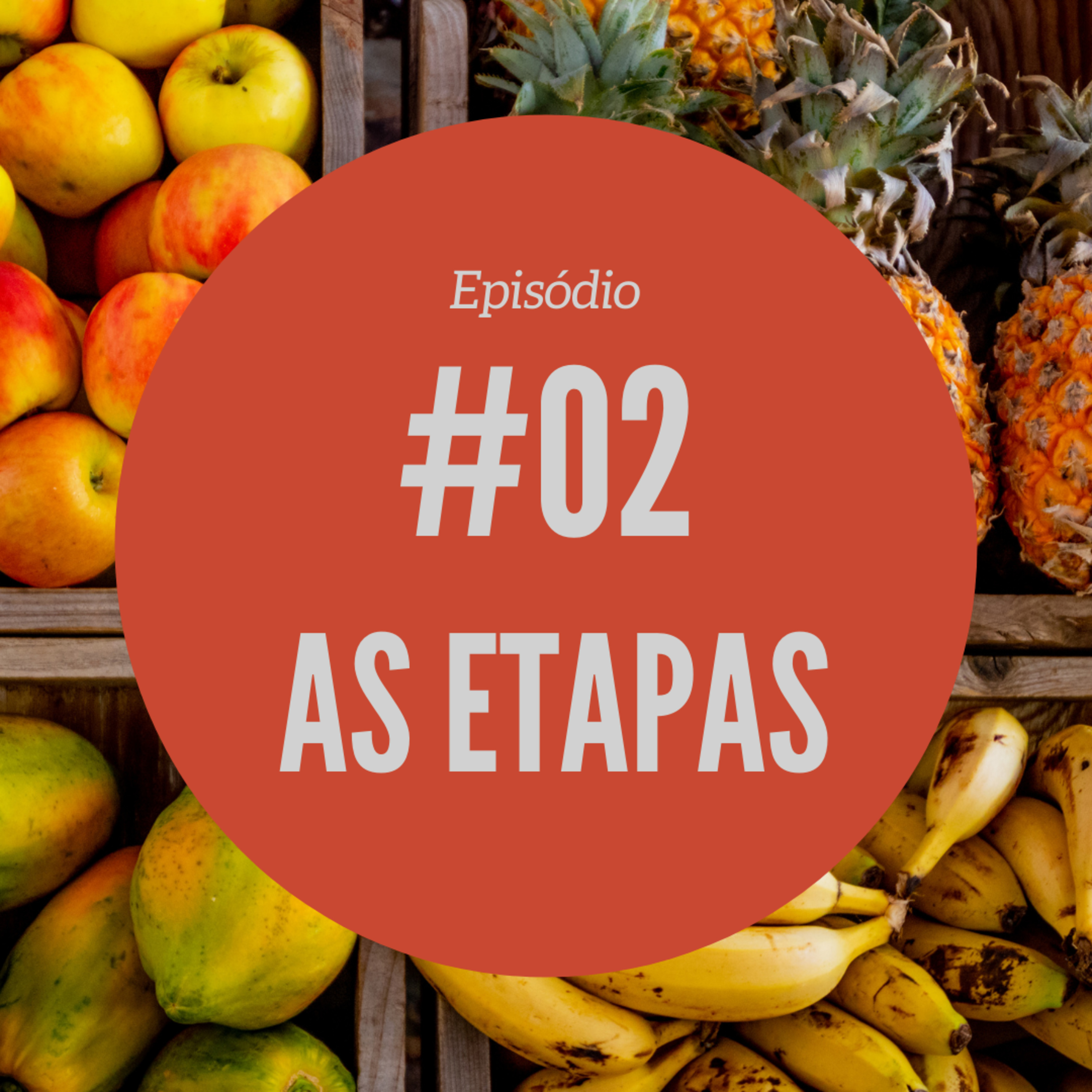 #02 - As Etapas episode artwork
