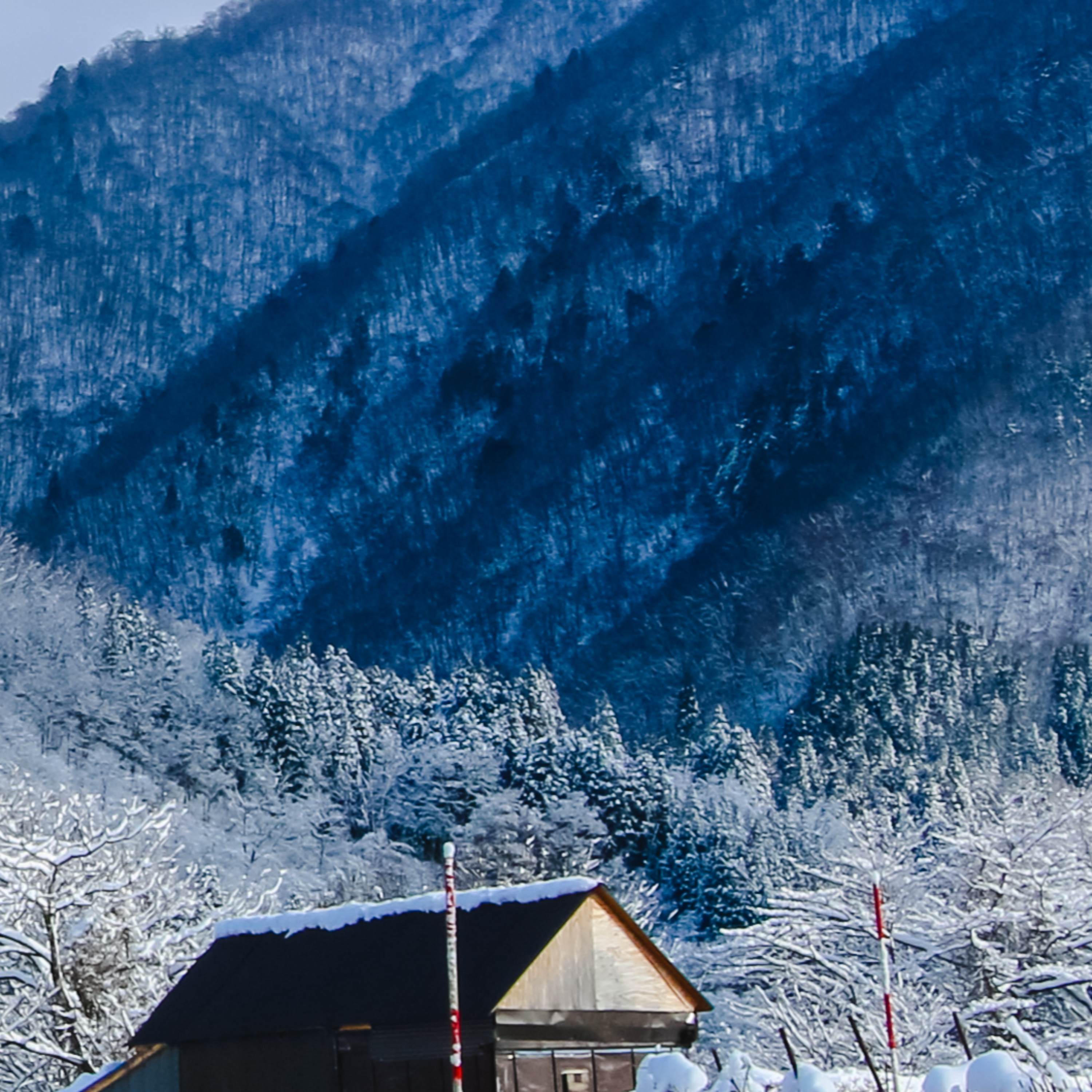 El juego más peligroso